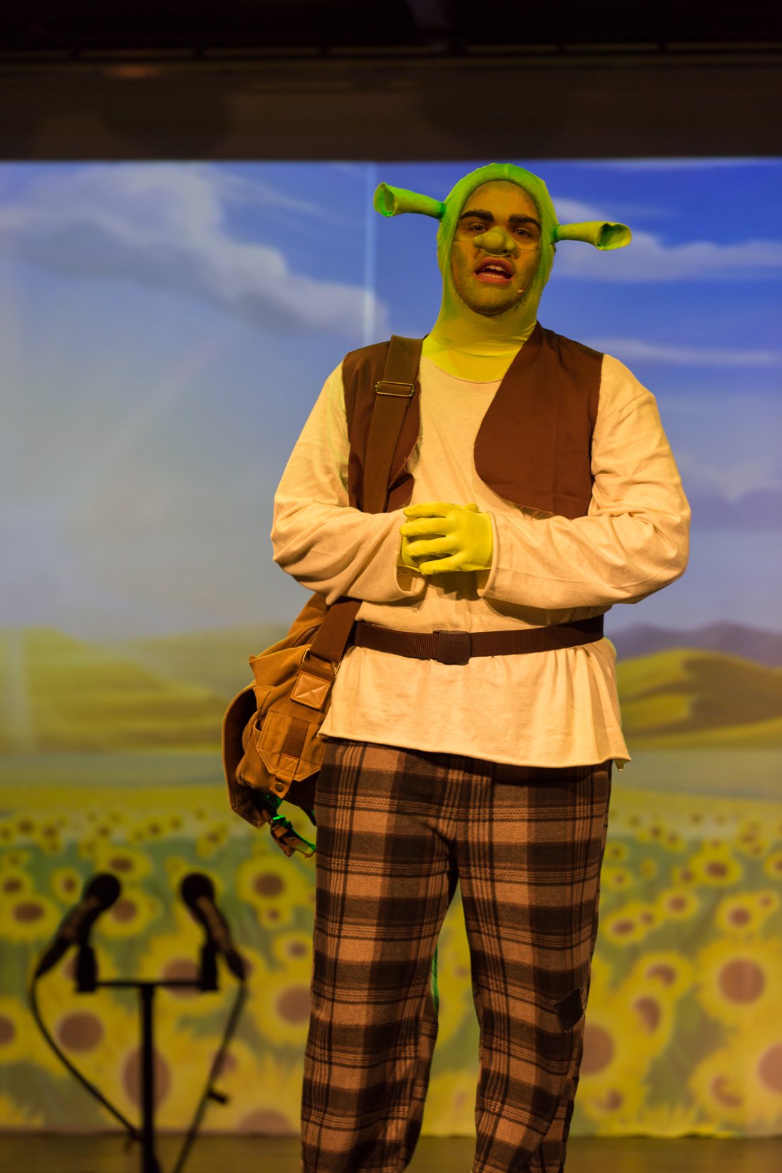 Shrek the Musical-223.JPG