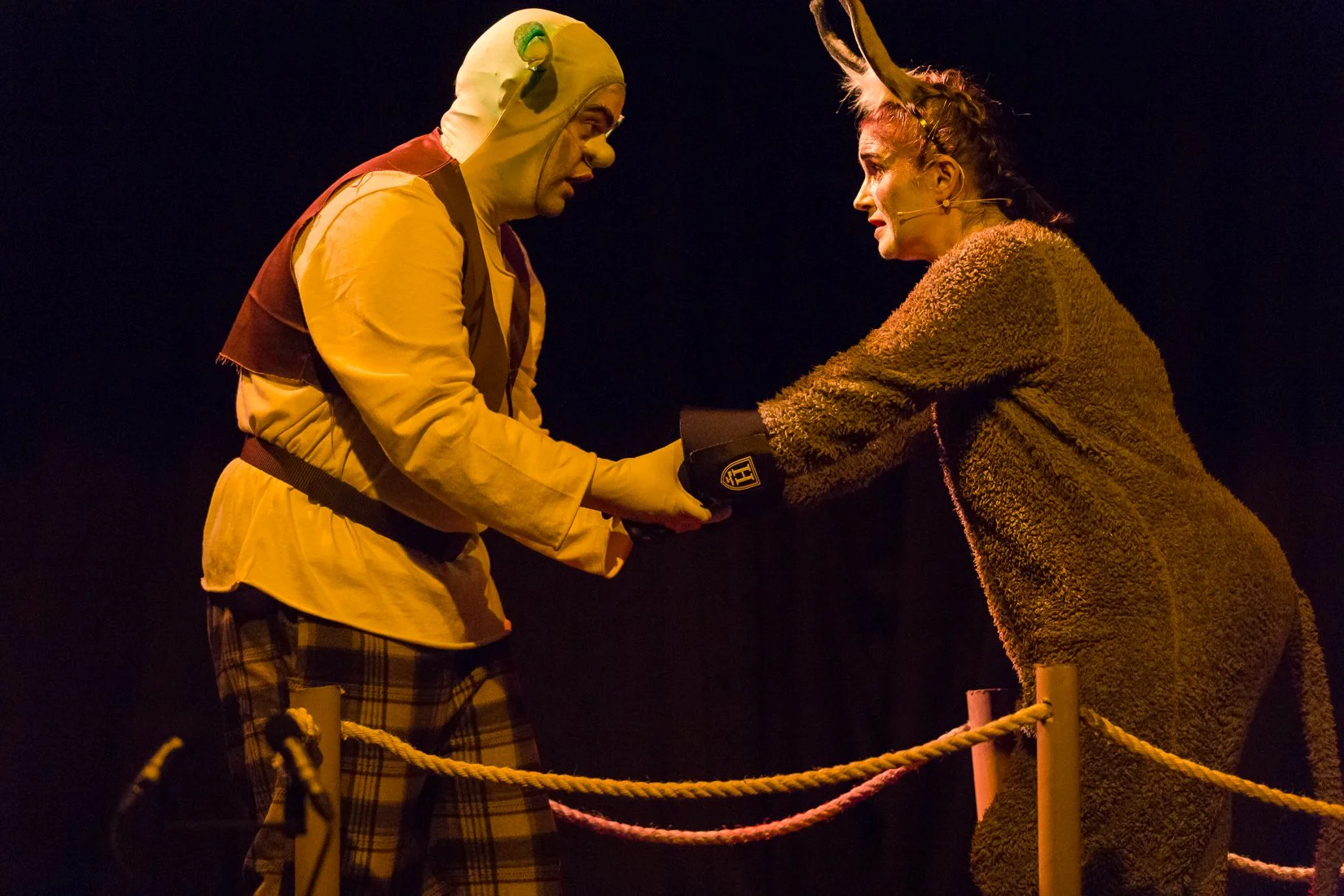 Shrek the Musical-236.JPG