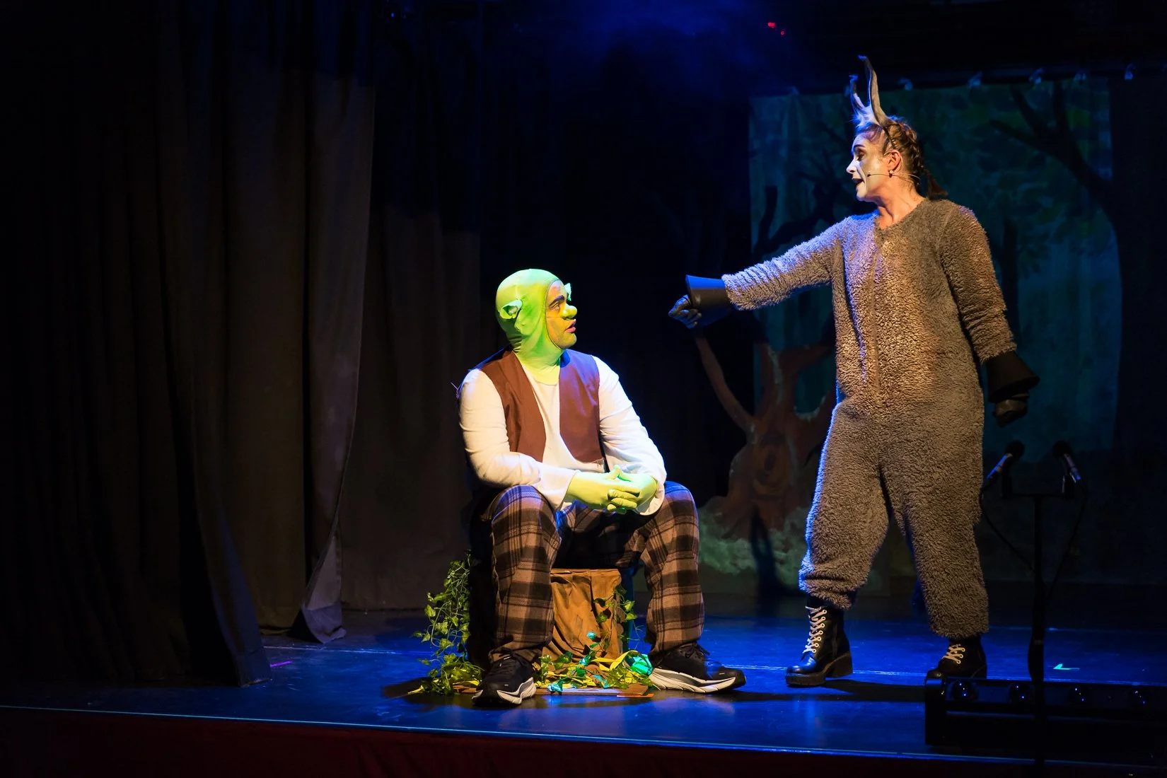 Shrek the Musical-308.JPG
