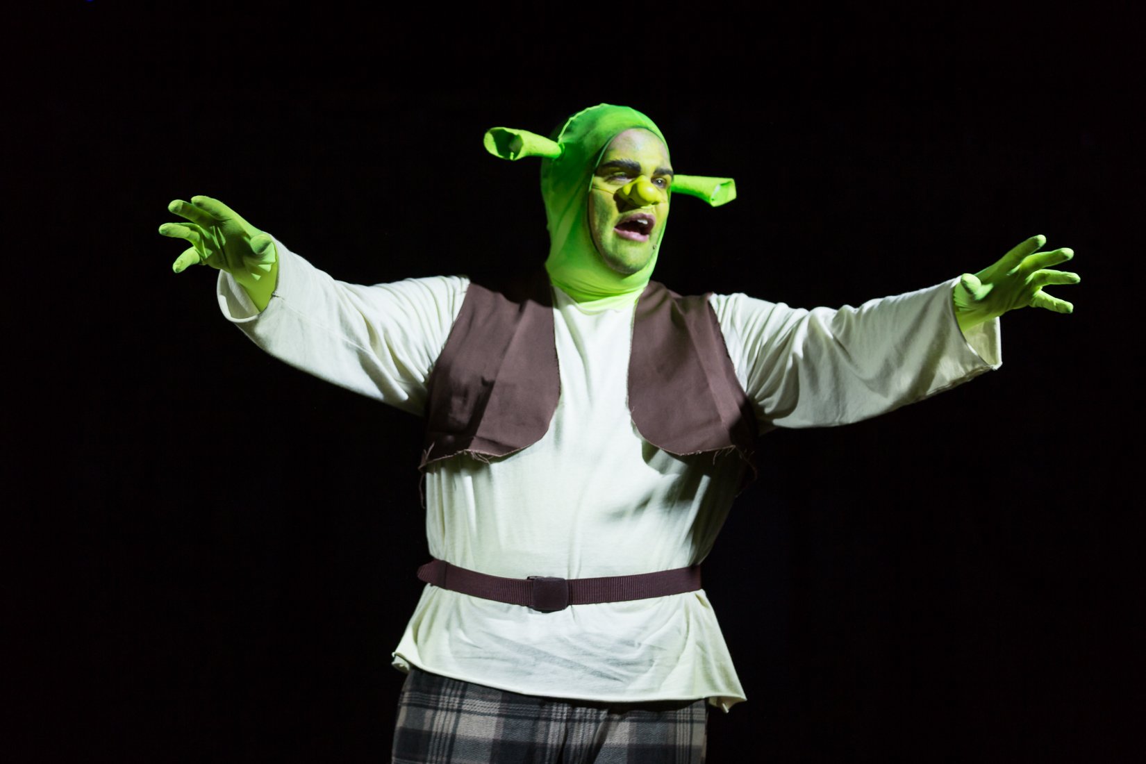 Shrek the Musical-320.JPG