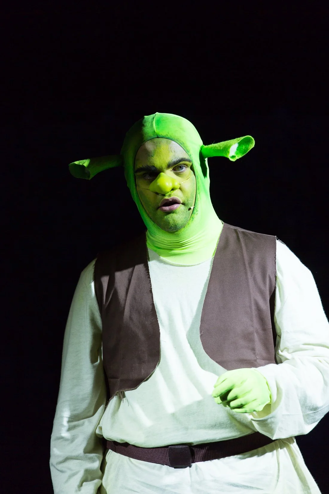 Shrek the Musical-317.JPG