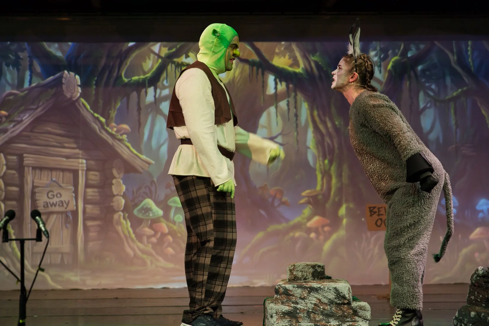 Shrek the Musical-565.JPG