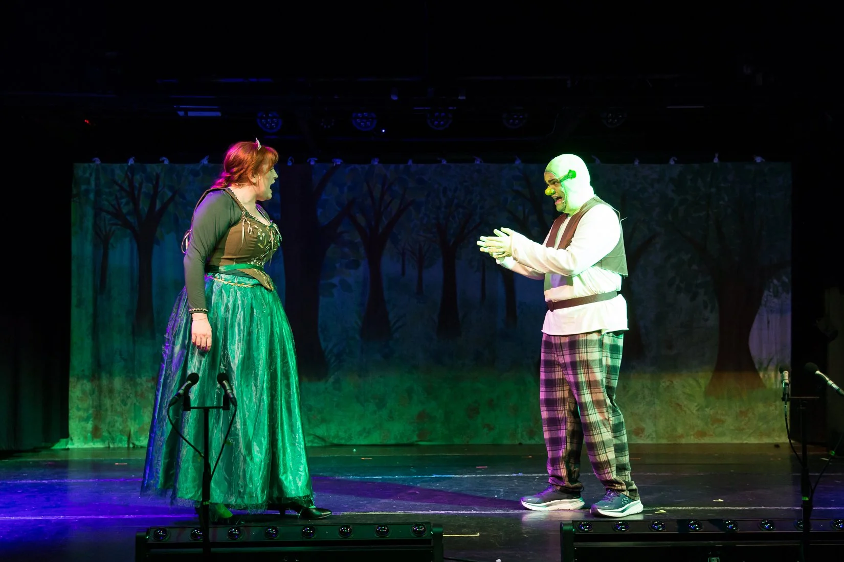 Shrek the Musical-390.JPG