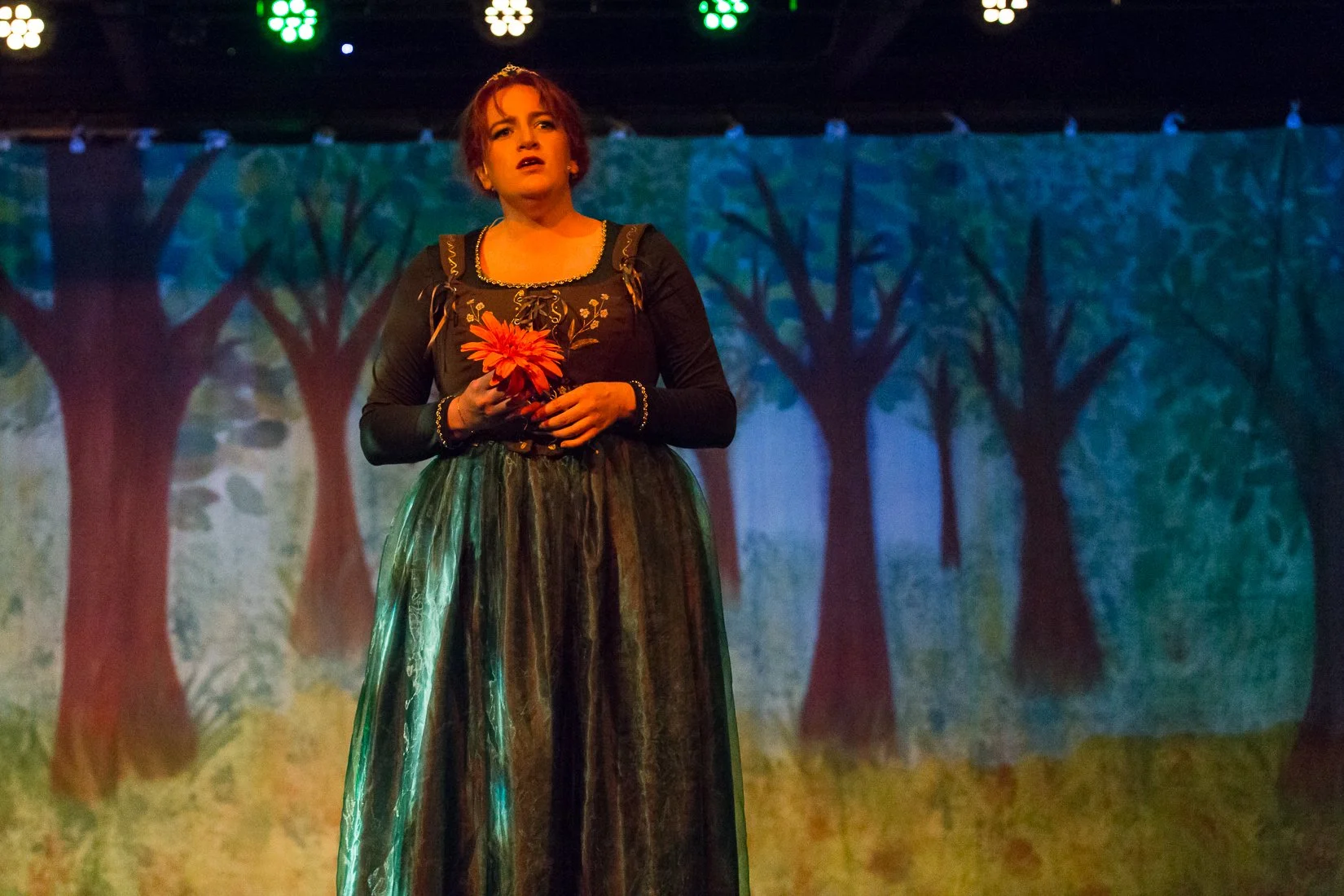 Shrek the Musical-486.JPG