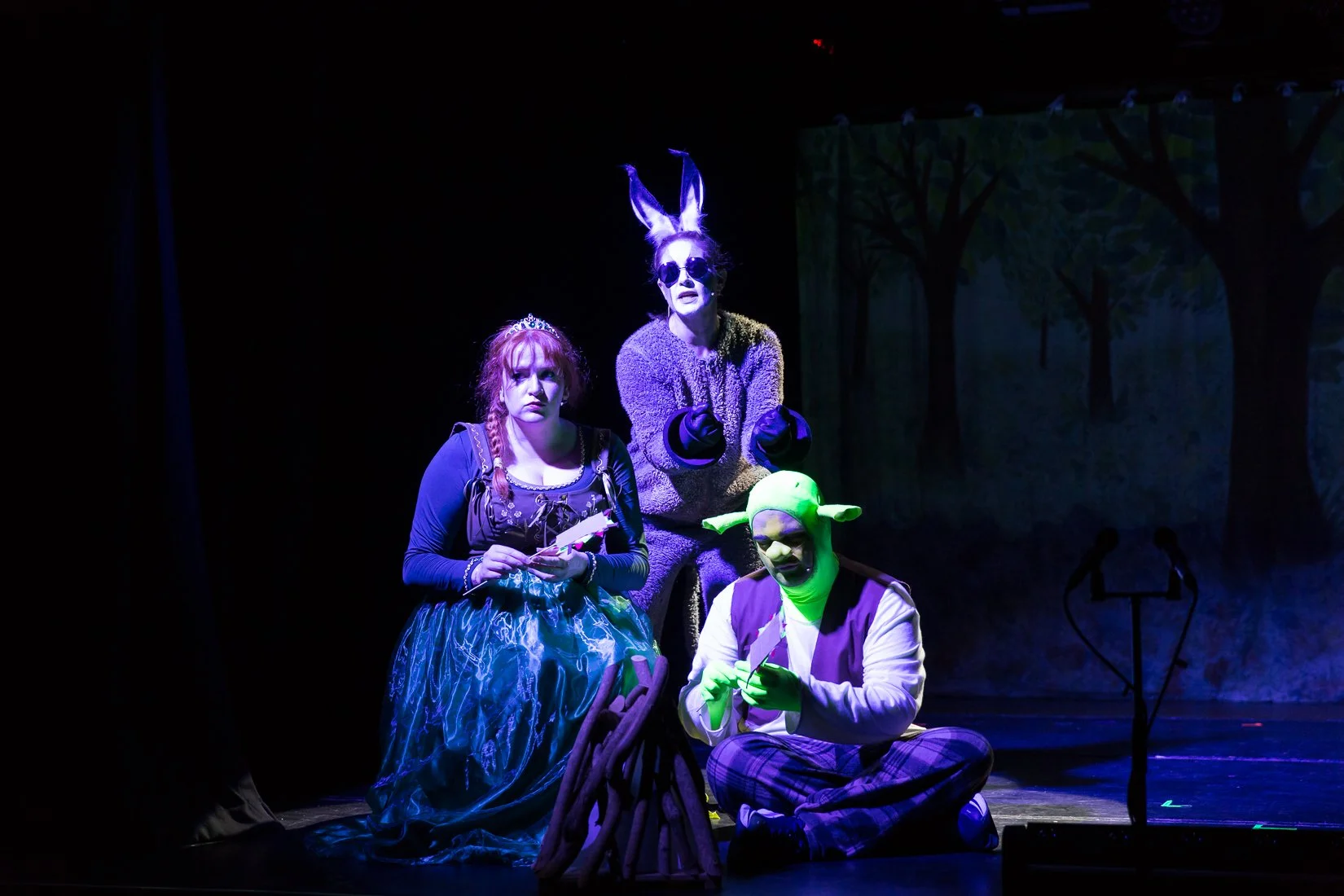 Shrek the Musical-455.JPG