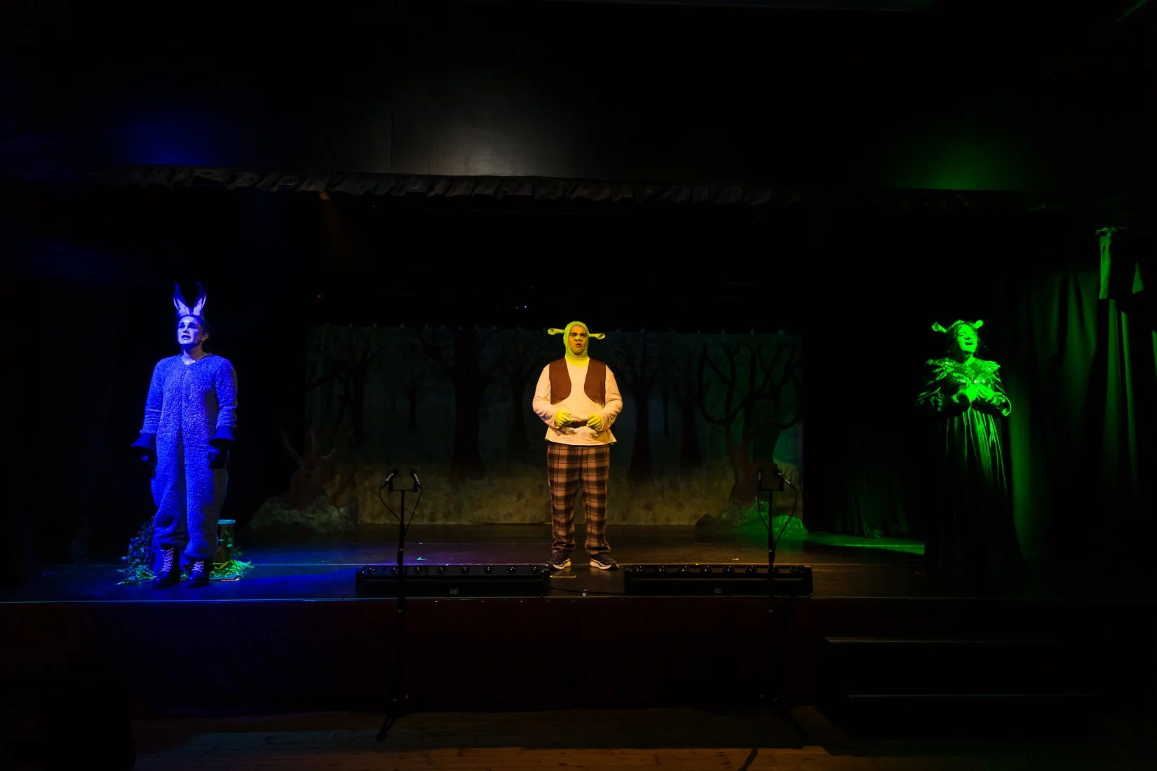 Shrek the Musical-327.JPG
