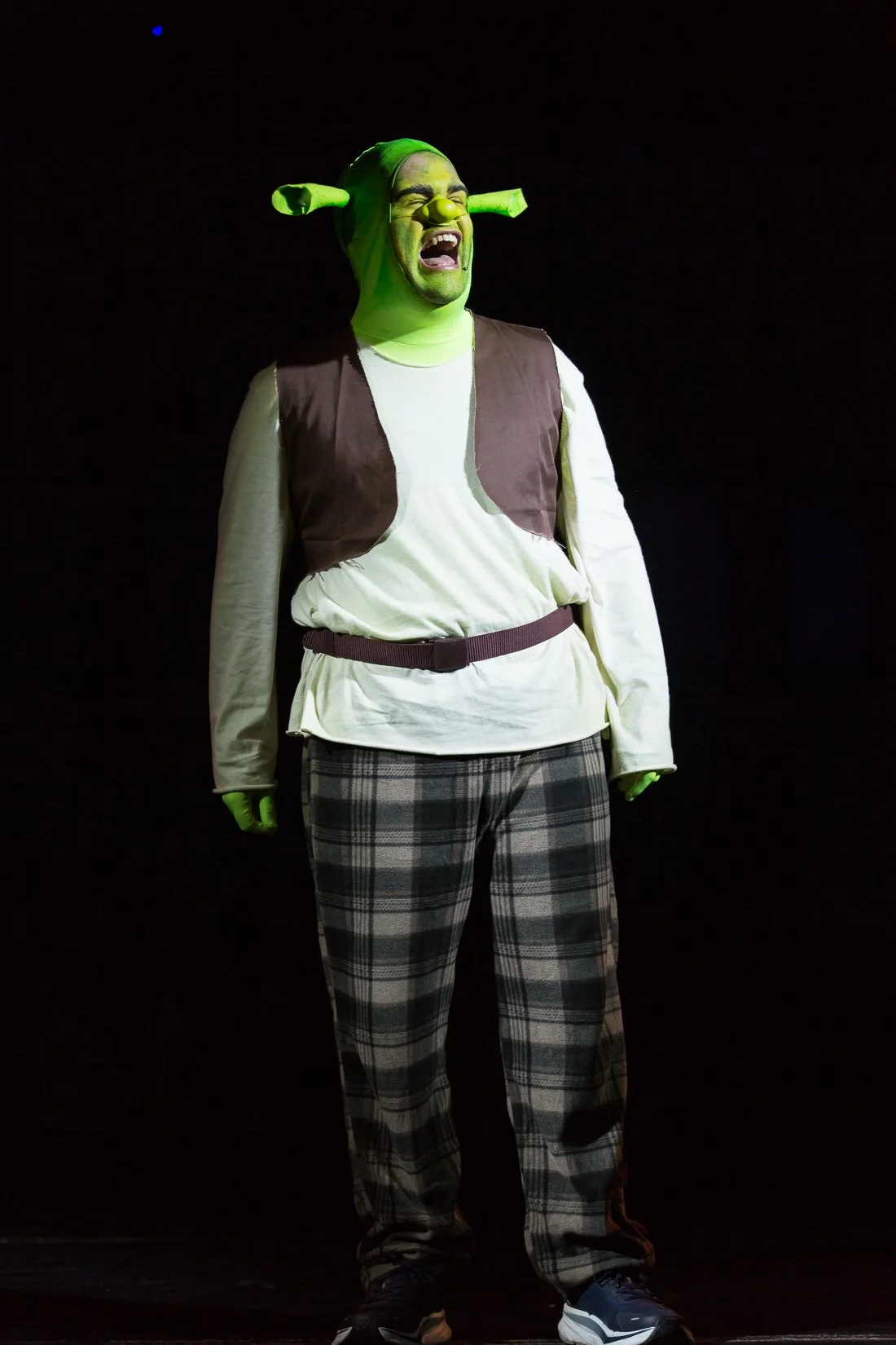 Shrek the Musical-322.JPG