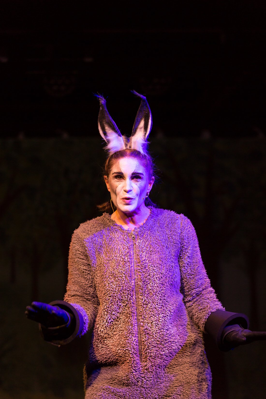 Shrek the Musical-438.JPG