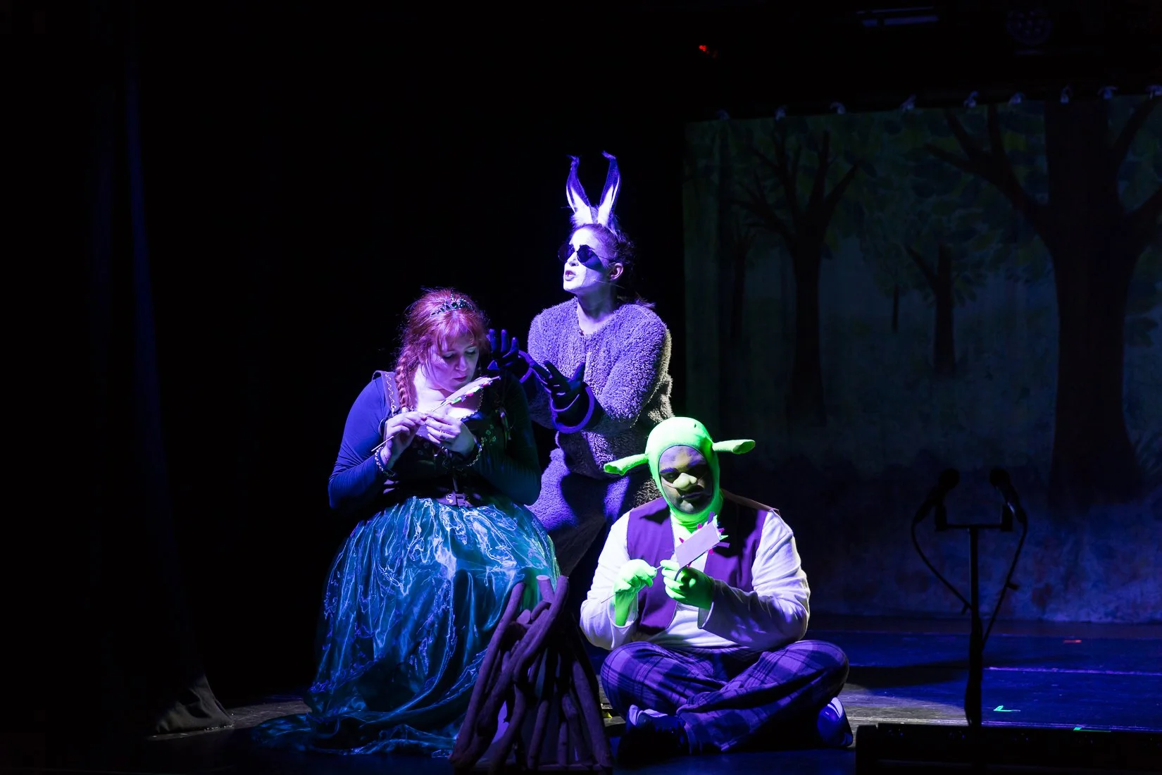 Shrek the Musical-456.JPG