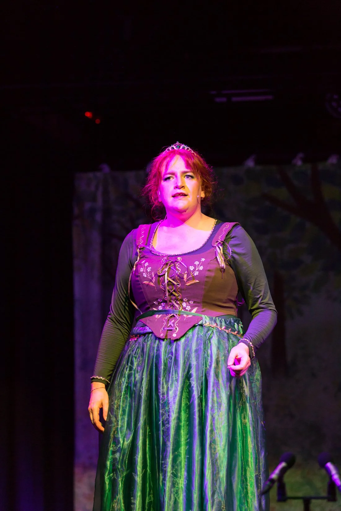 Shrek the Musical-382.JPG