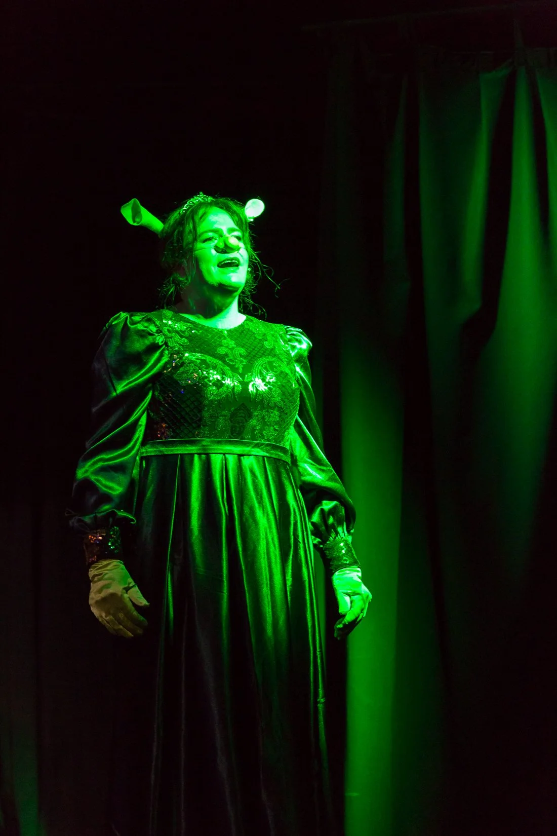Shrek the Musical-331.JPG