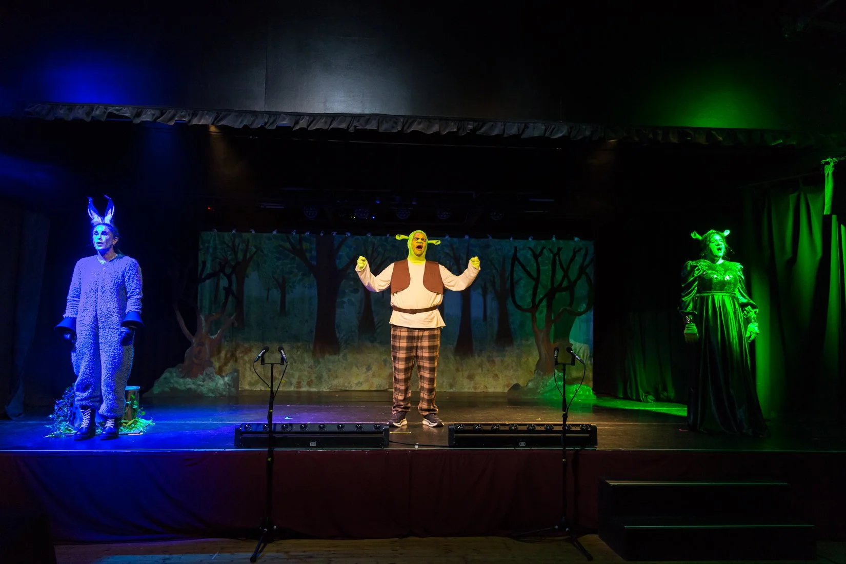 Shrek the Musical-326.JPG