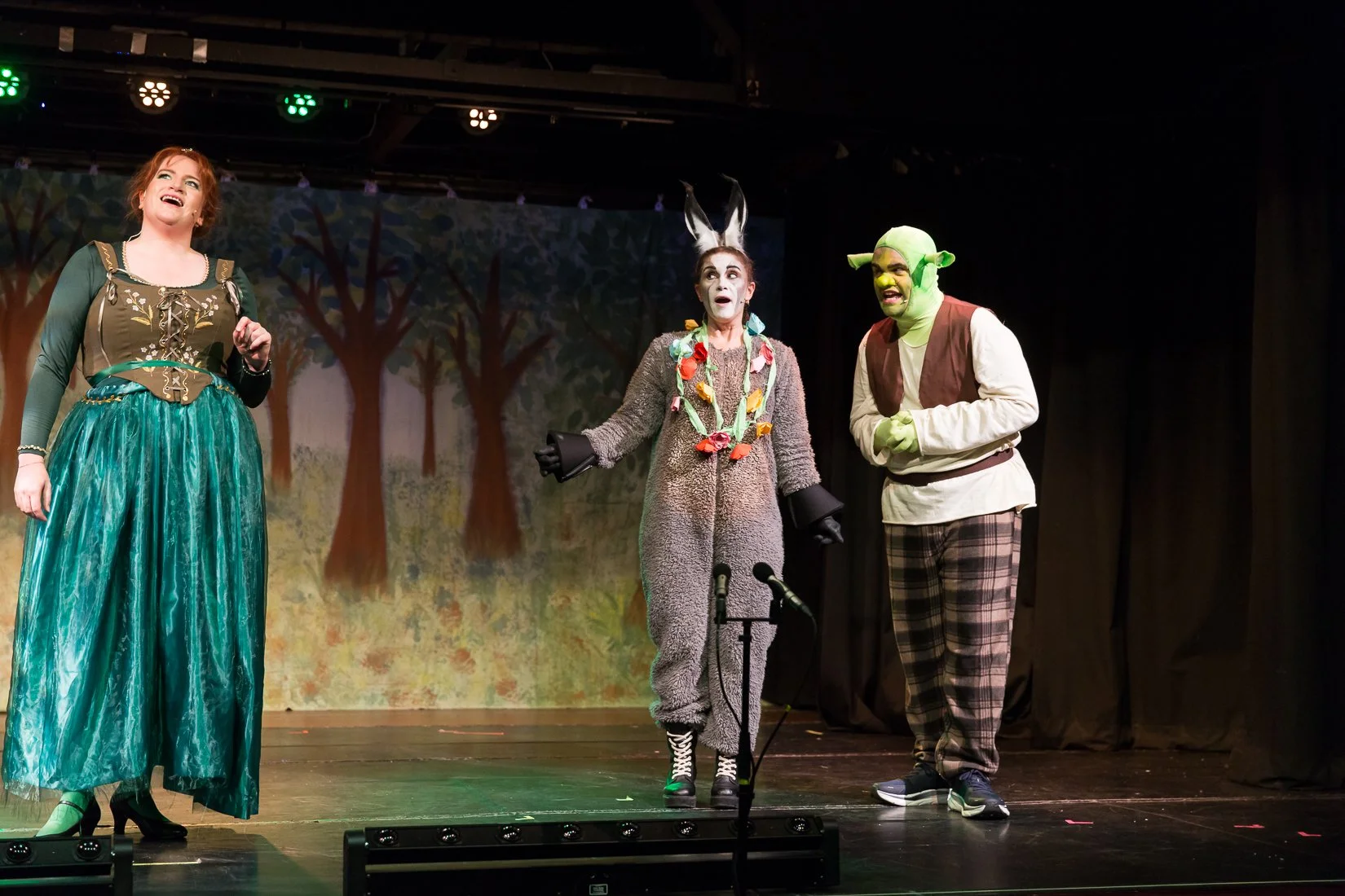 Shrek the Musical-377.JPG
