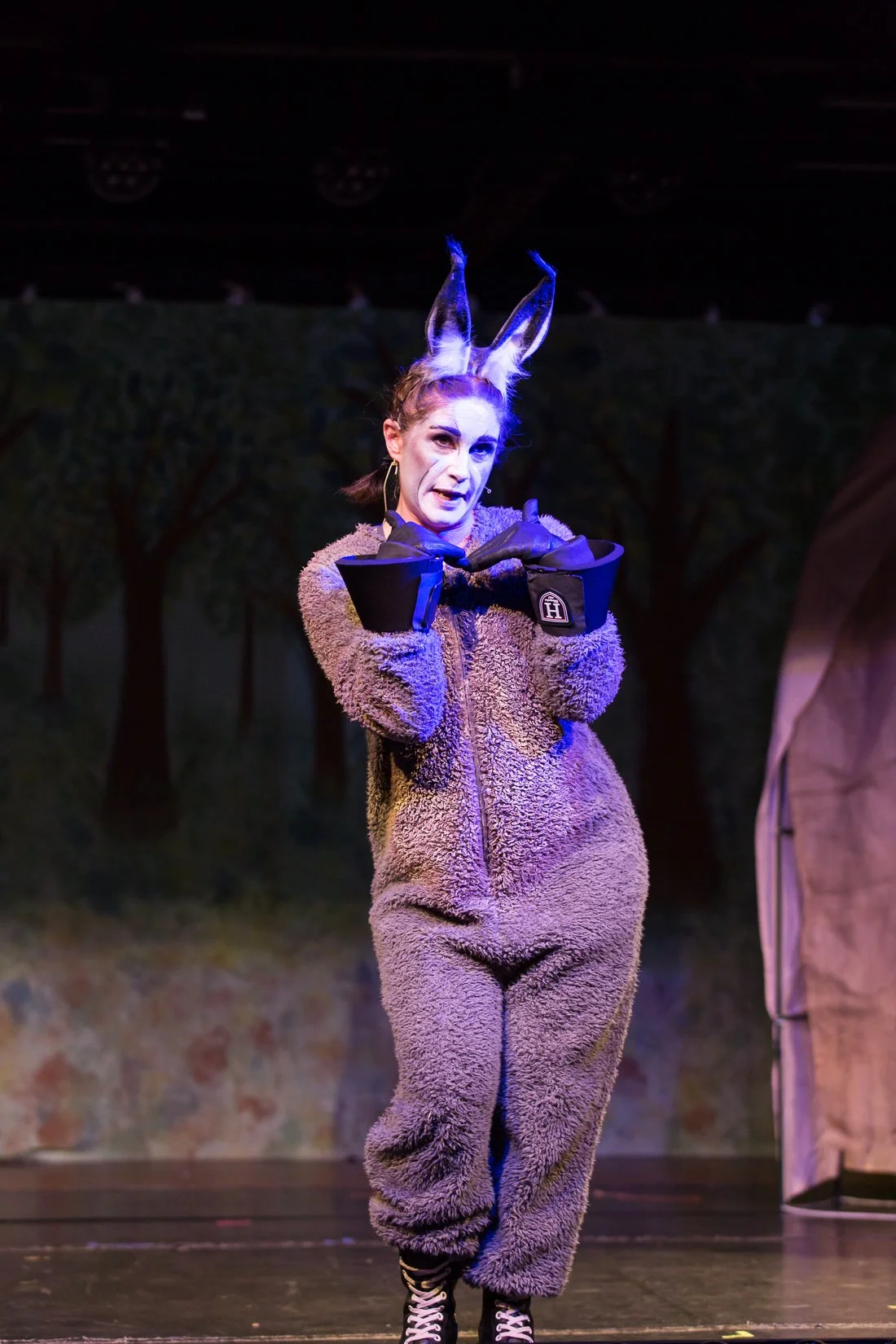 Shrek the Musical-440.JPG