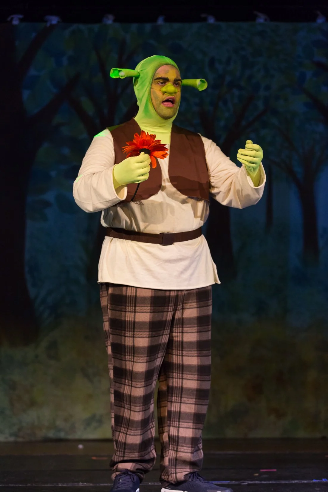 Shrek the Musical-485.JPG