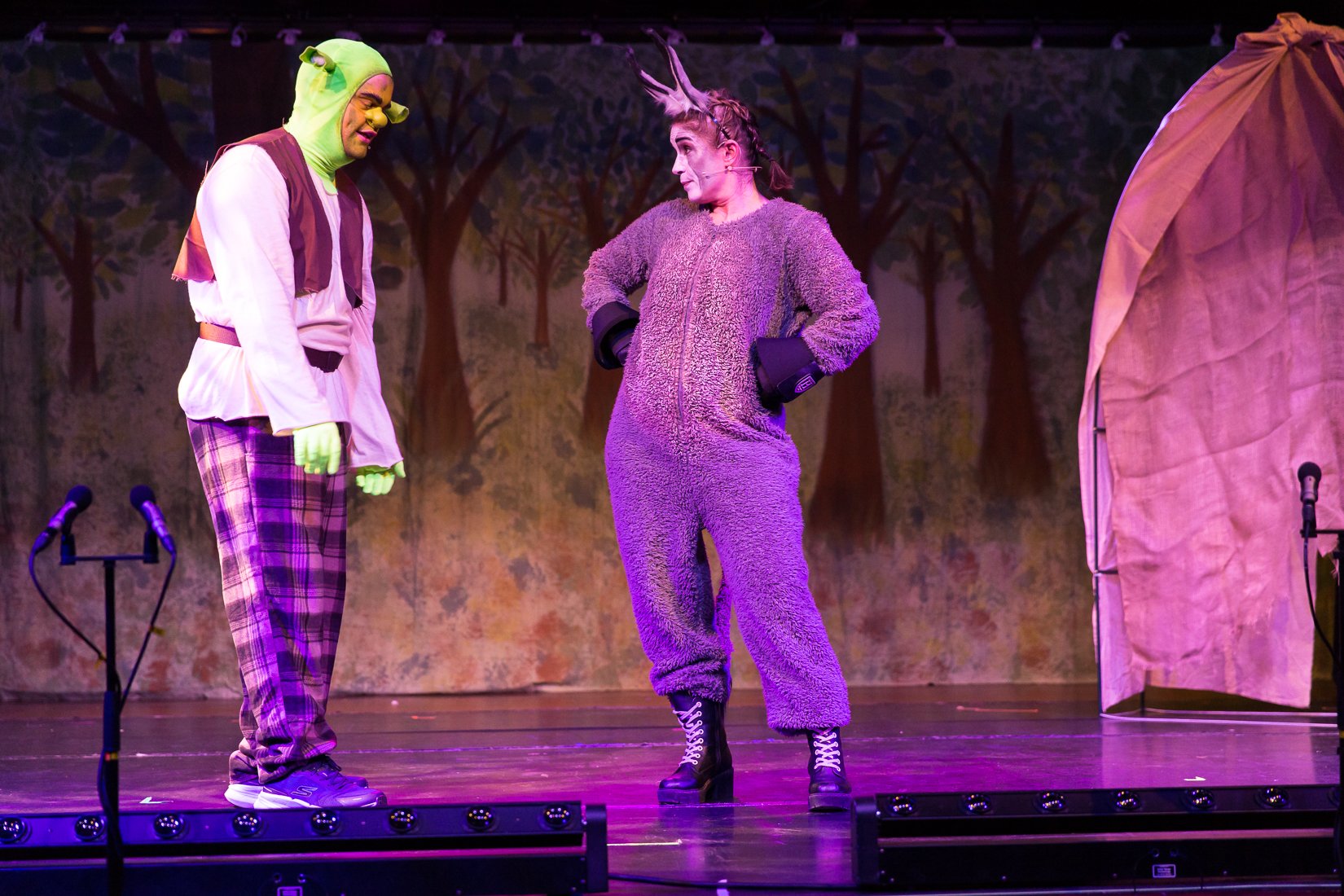 Shrek the Musical-474.JPG