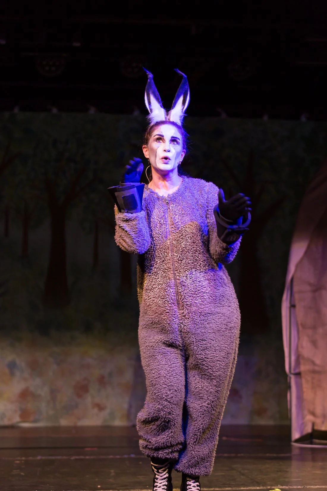 Shrek the Musical-439.JPG