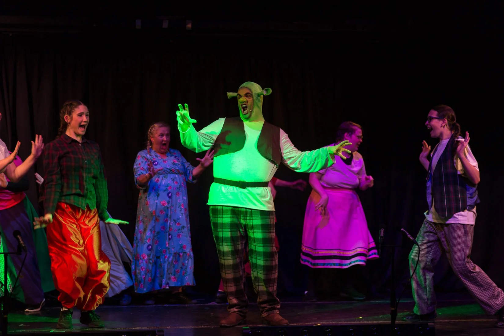 Shrek the Musical-22.JPG