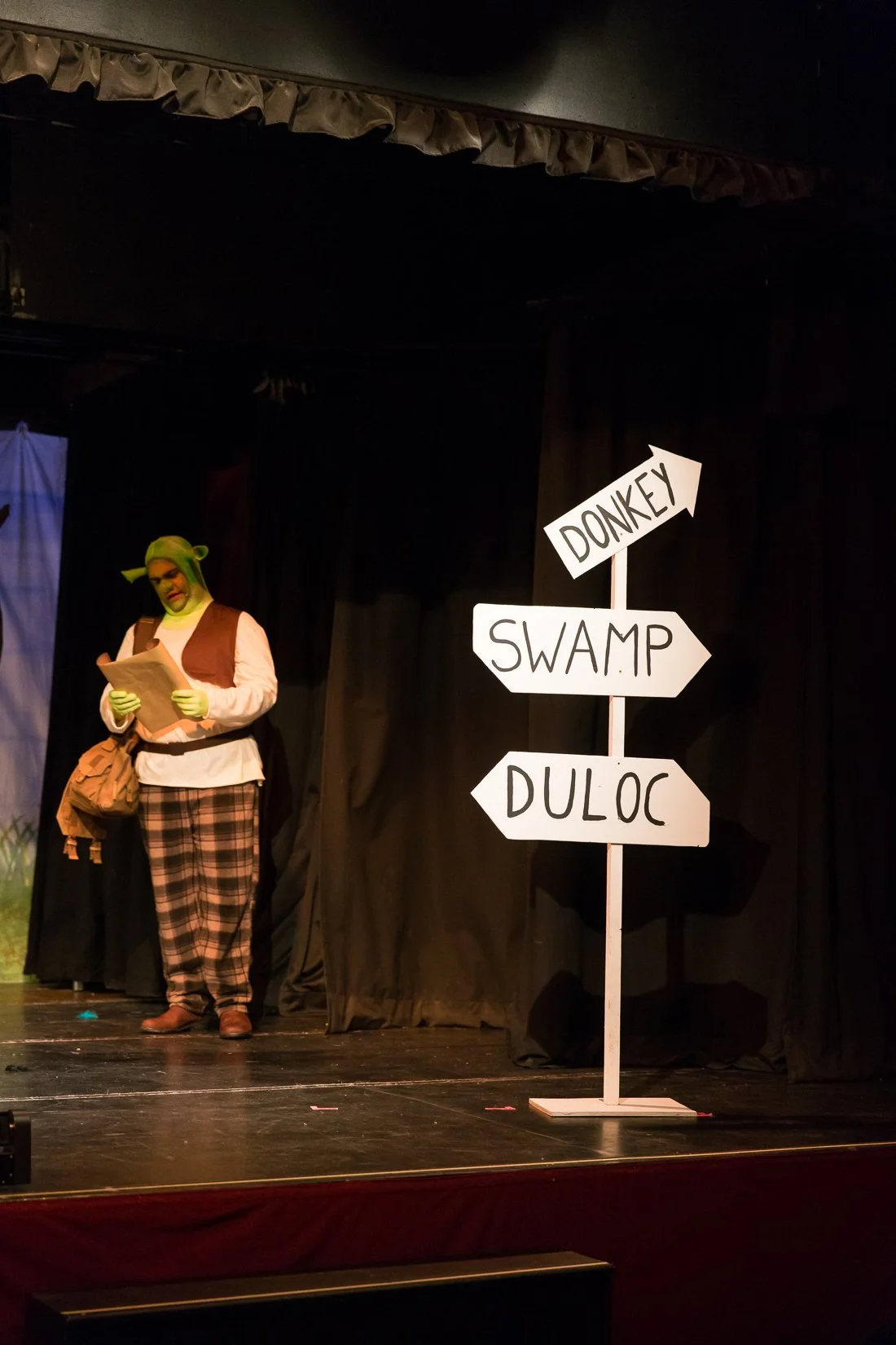 Shrek the Musical-78.JPG