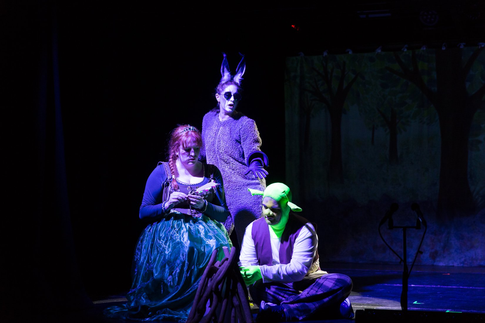 Shrek the Musical-454.JPG