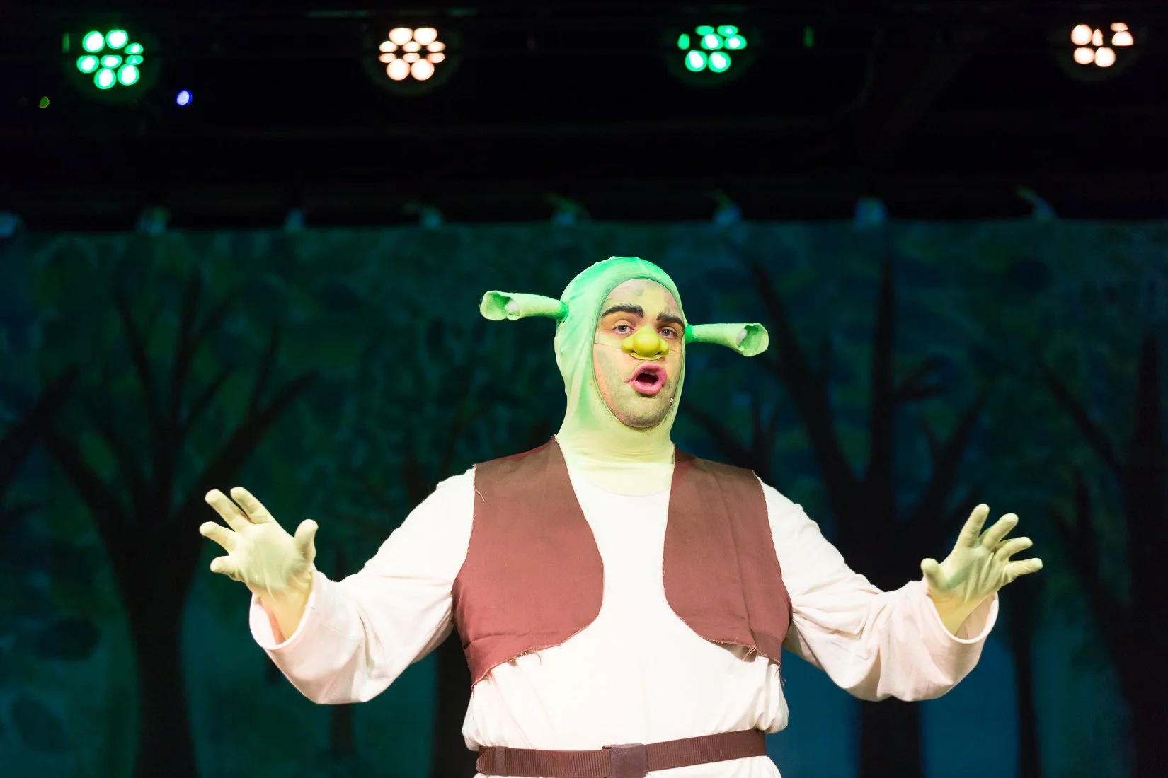 Shrek the Musical-507.JPG
