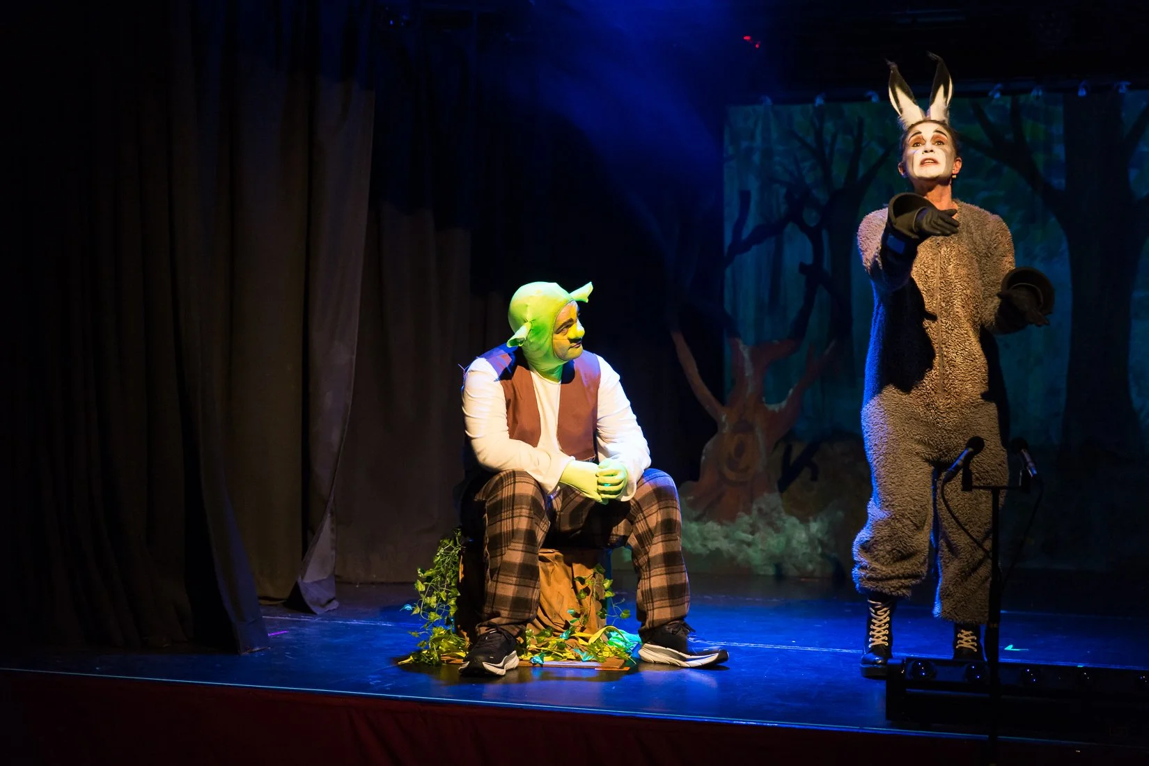 Shrek the Musical-307.JPG