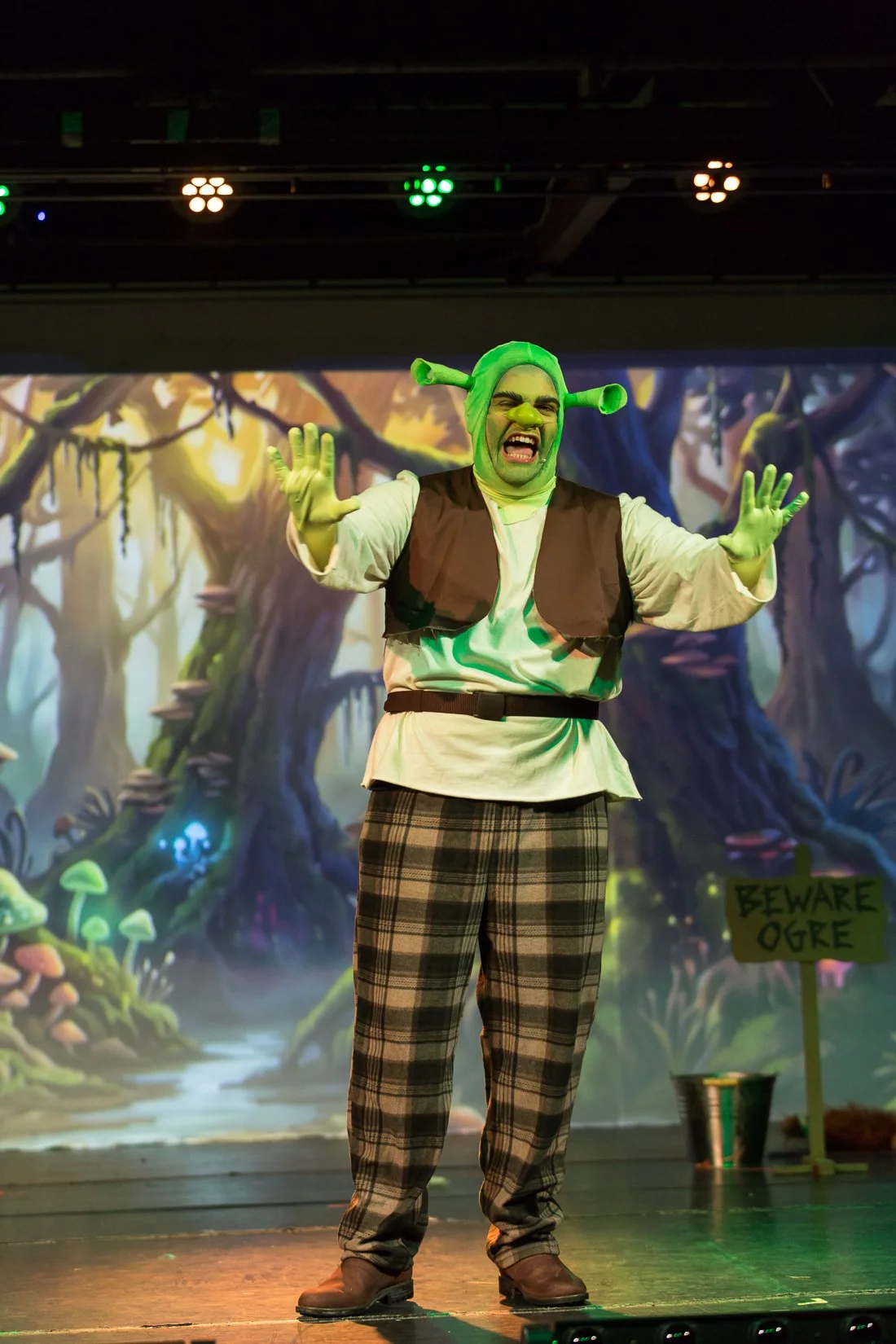 Shrek the Musical-27.JPG