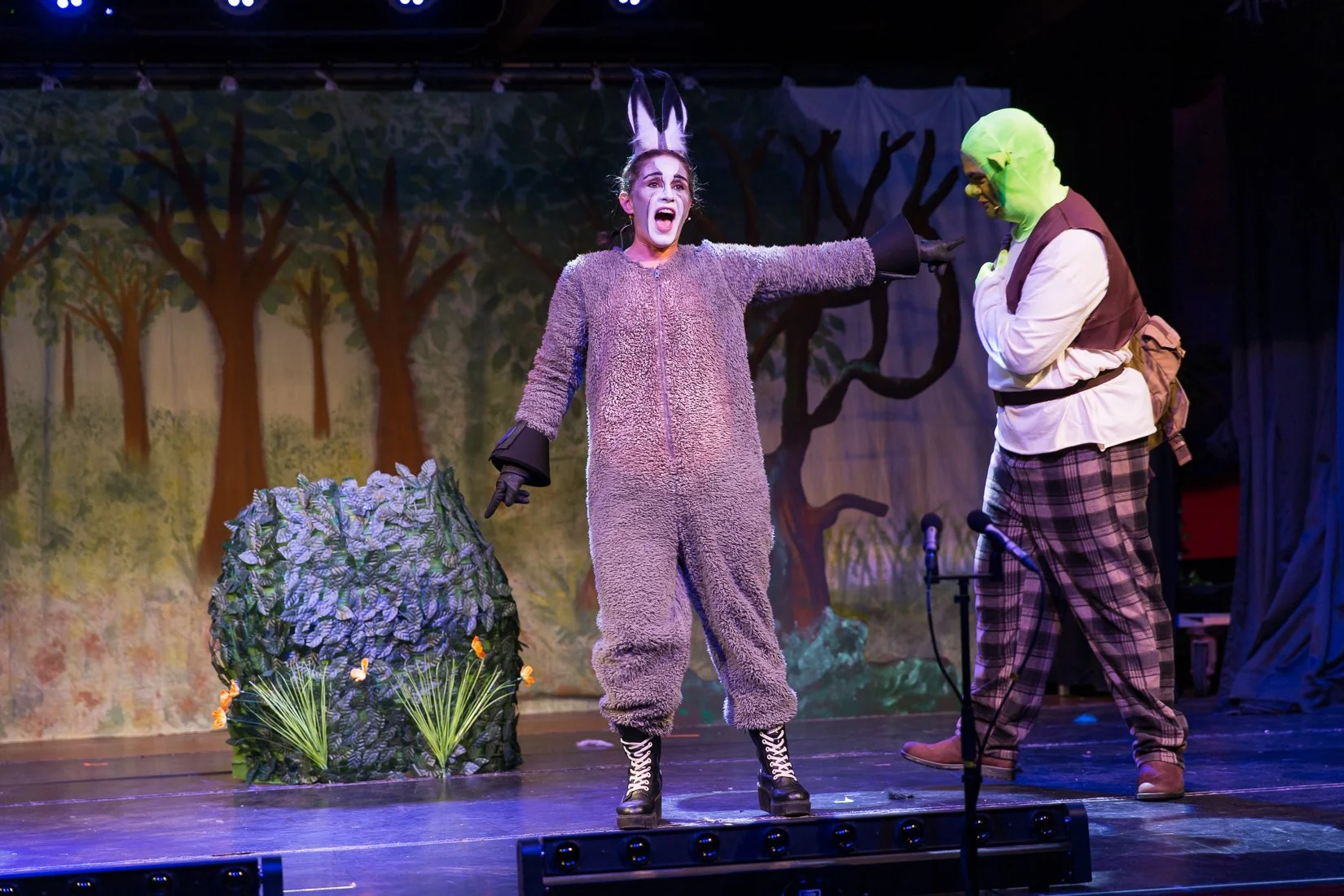 Shrek the Musical-98.JPG