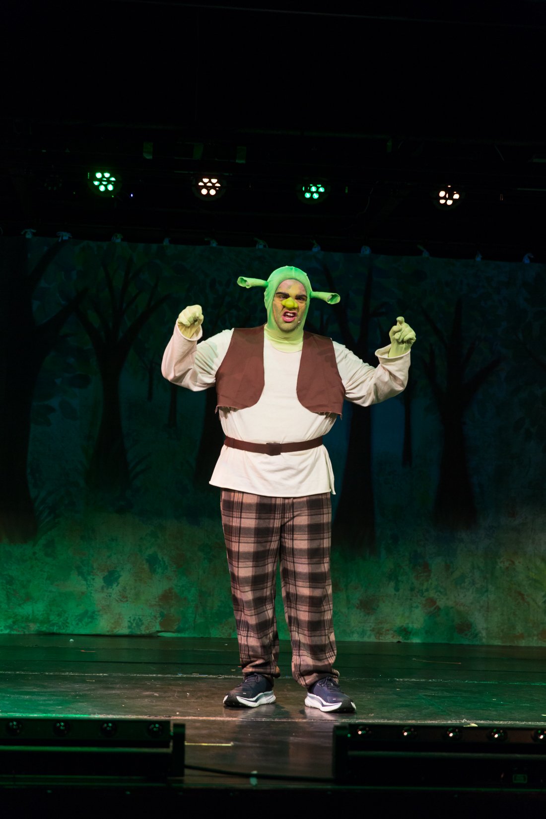Shrek the Musical-504.JPG