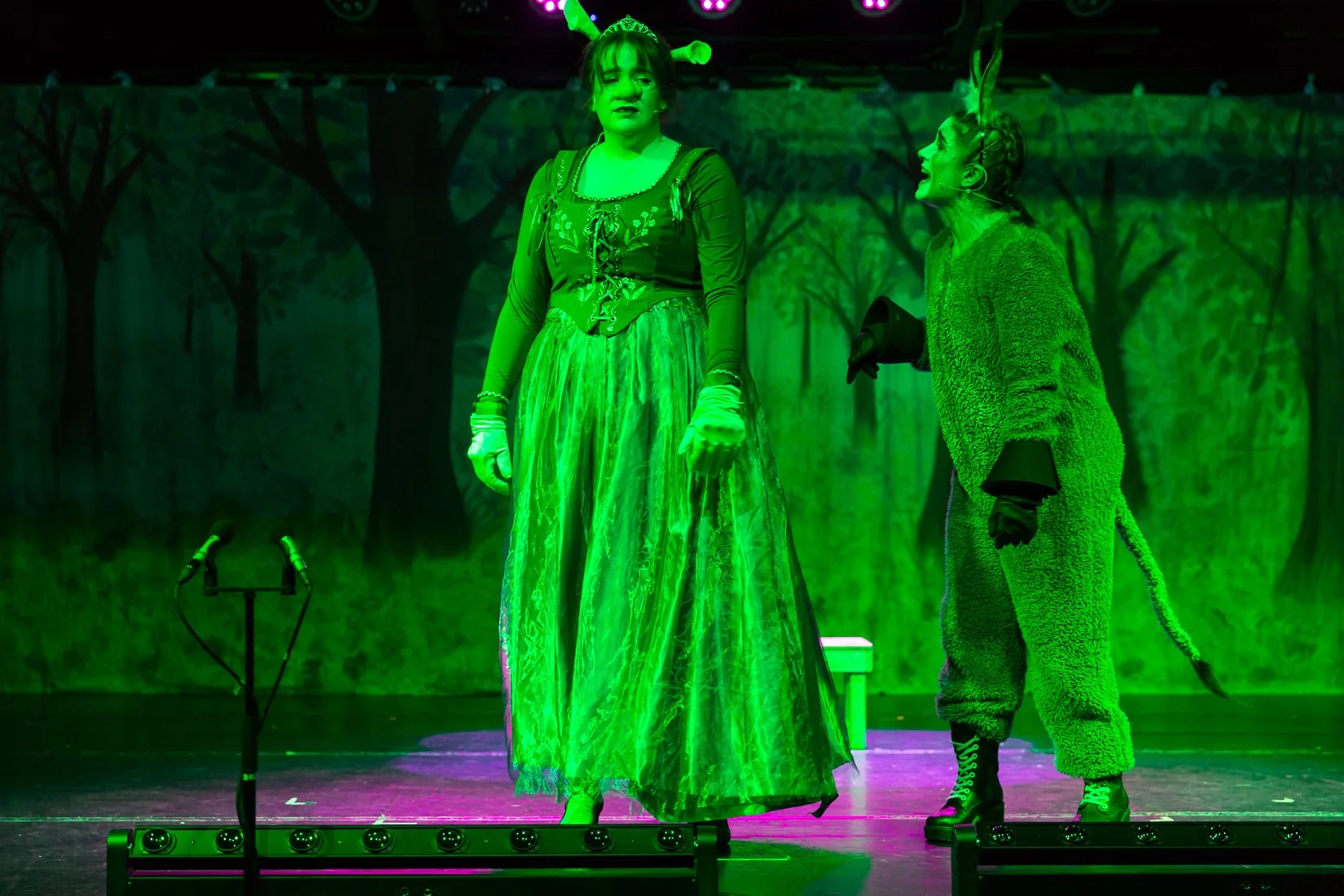 Shrek the Musical-479.JPG