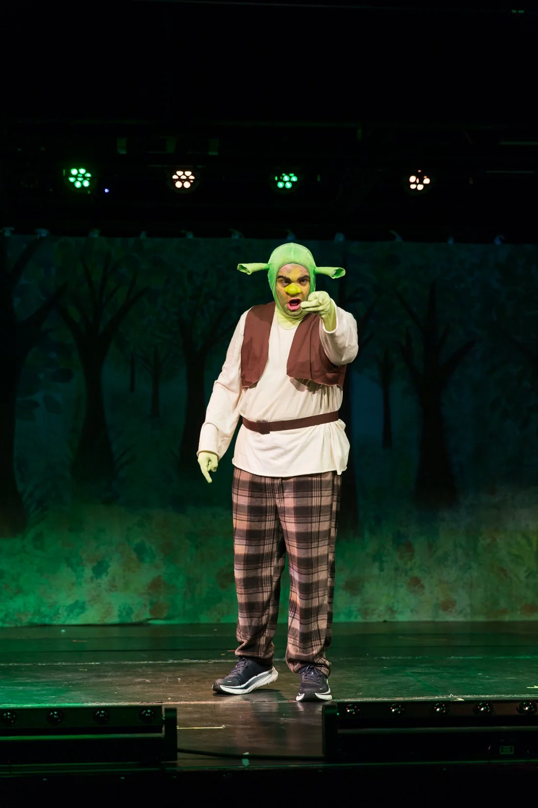Shrek the Musical-505.JPG