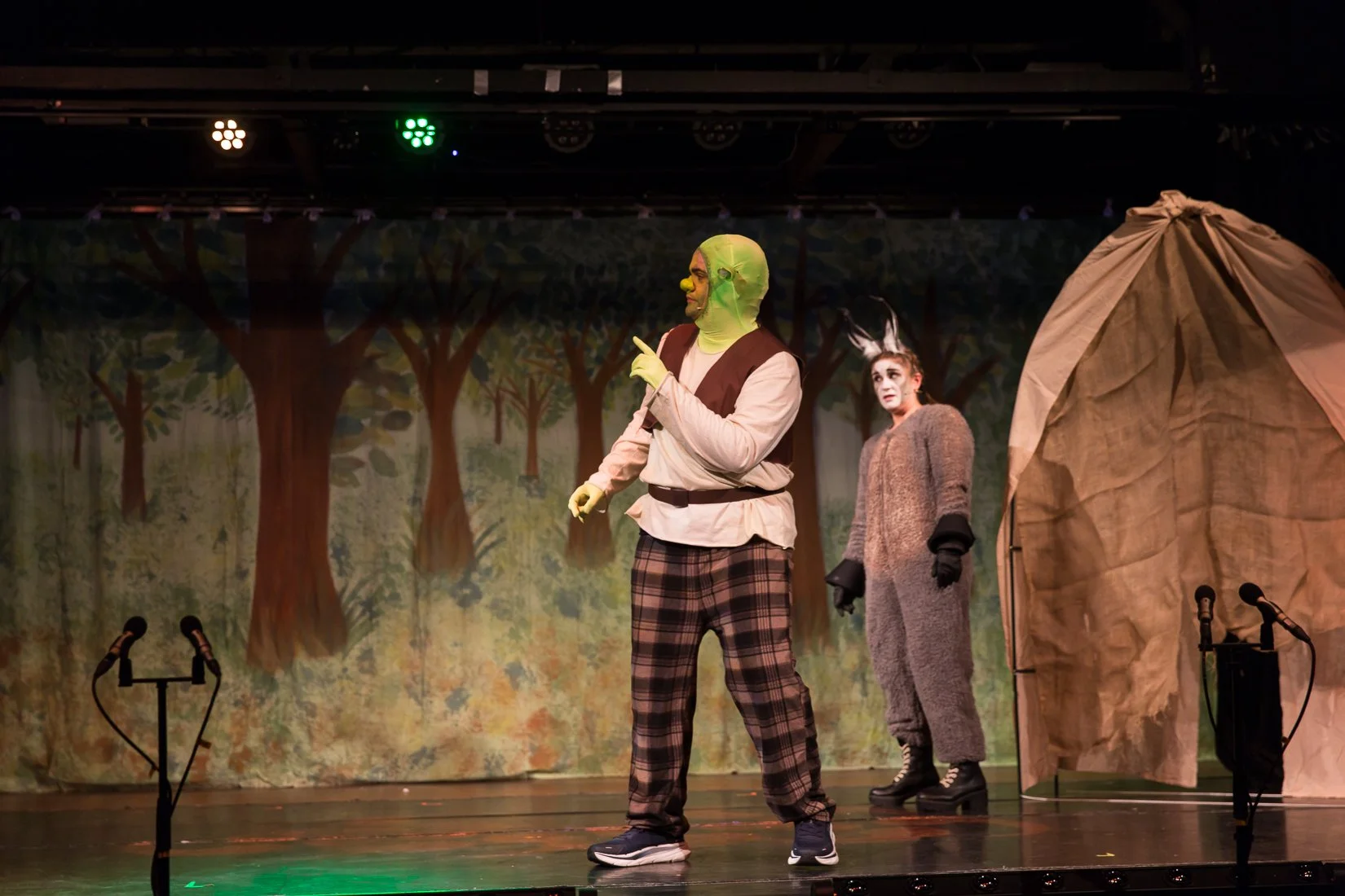 Shrek the Musical-431.JPG