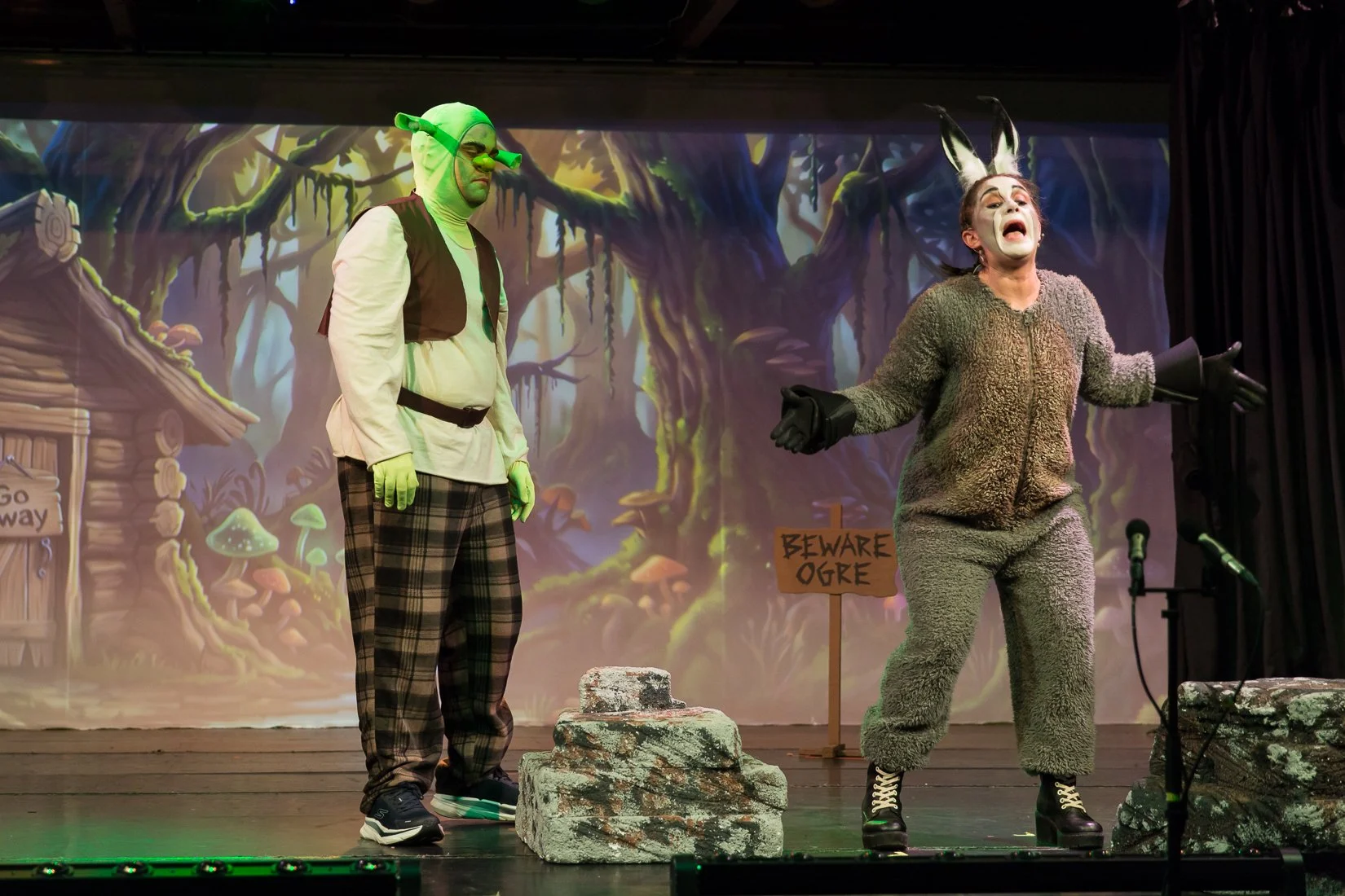 Shrek the Musical-564.JPG