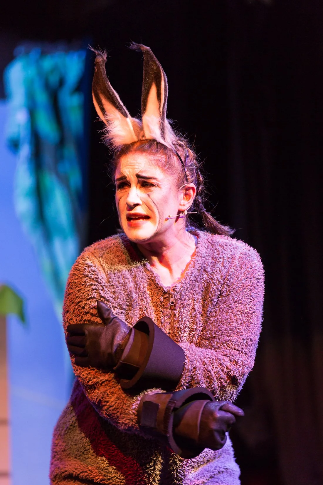 Shrek the Musical-131.JPG
