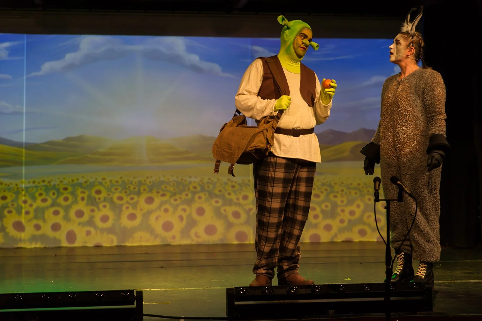 Shrek the Musical-215.JPG
