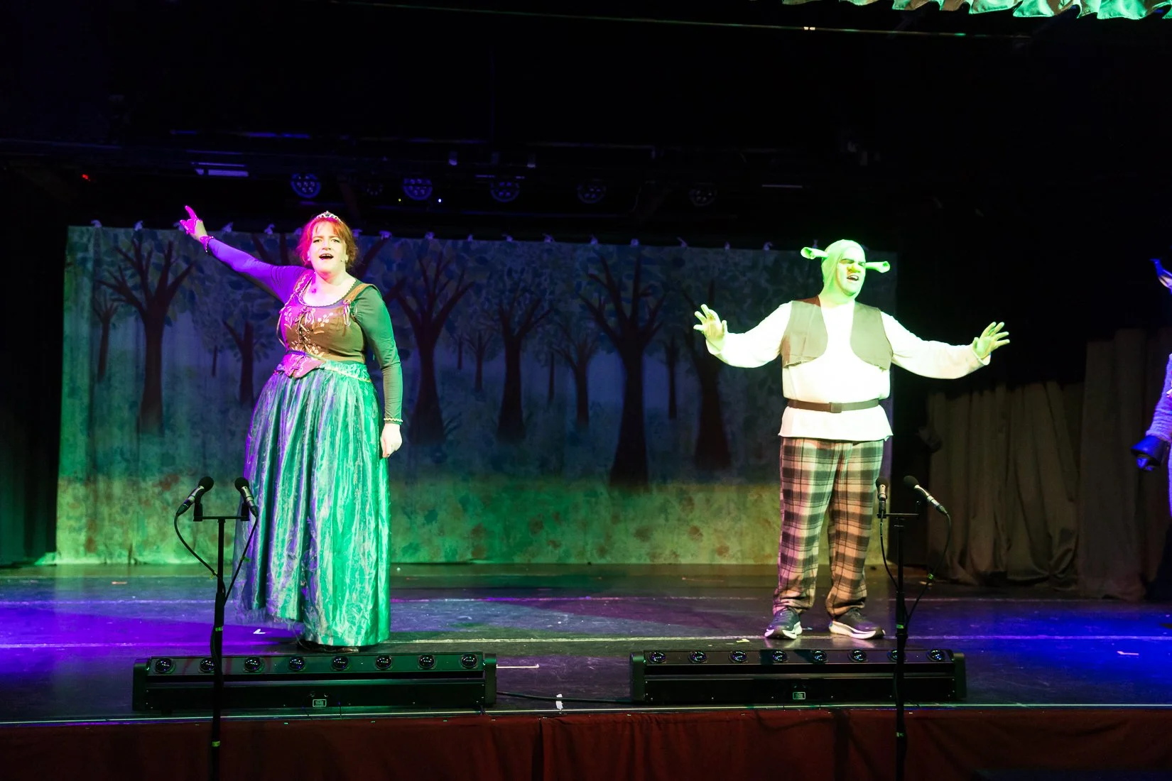 Shrek the Musical-389.JPG