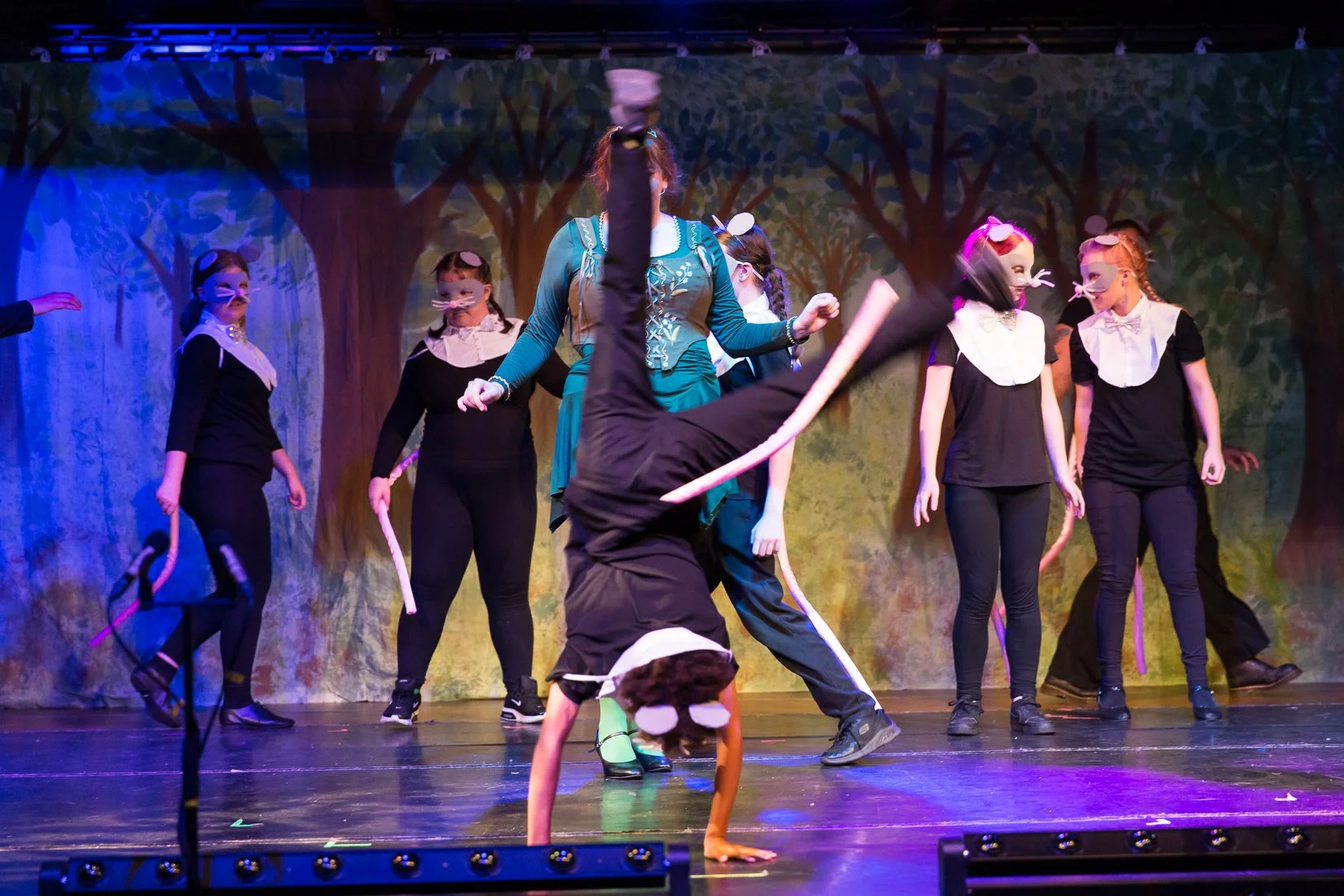 Shrek the Musical-360.JPG