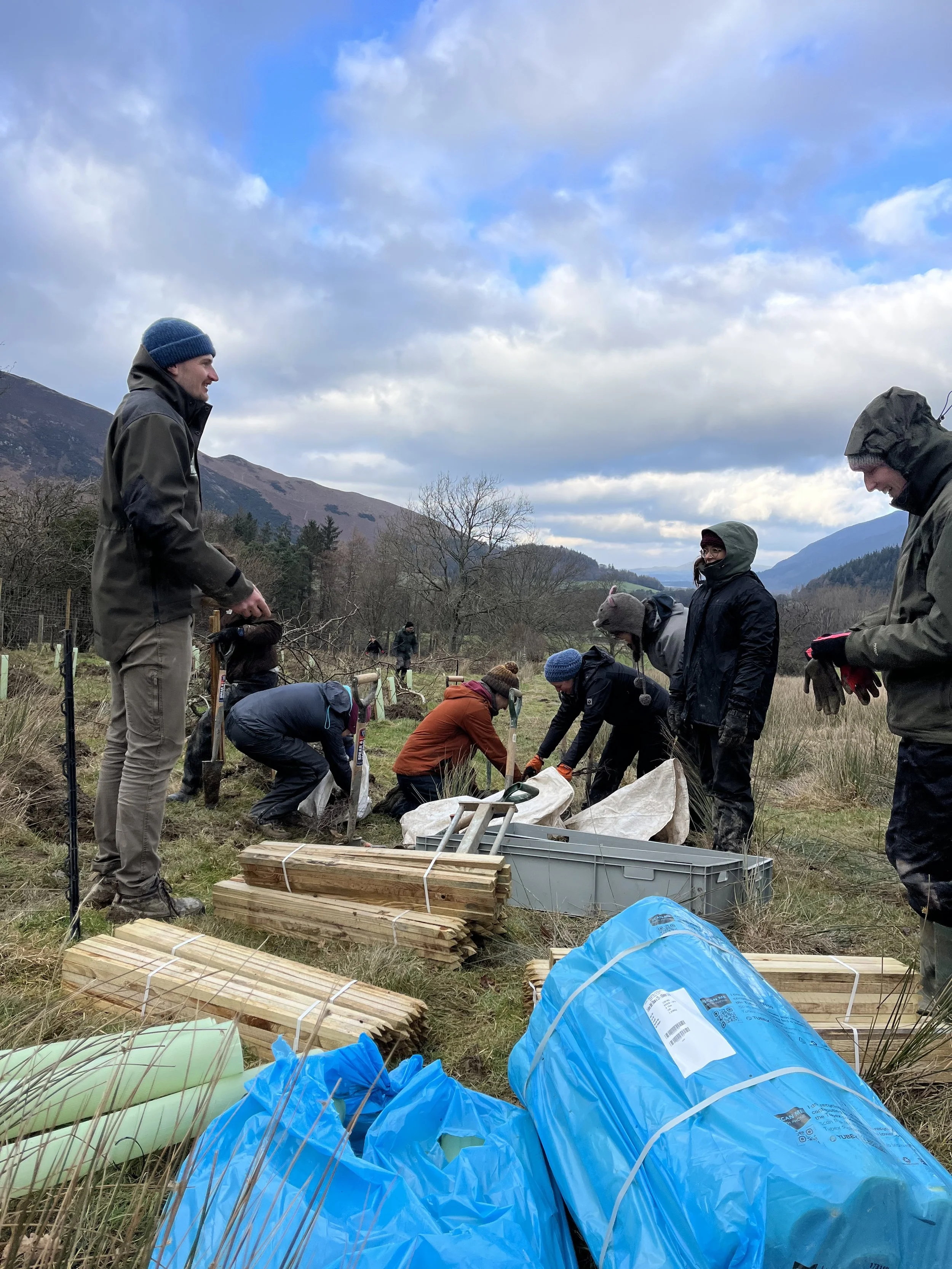 Volunteer Community Foresters: Tree Planting at Low Skelgill Farm