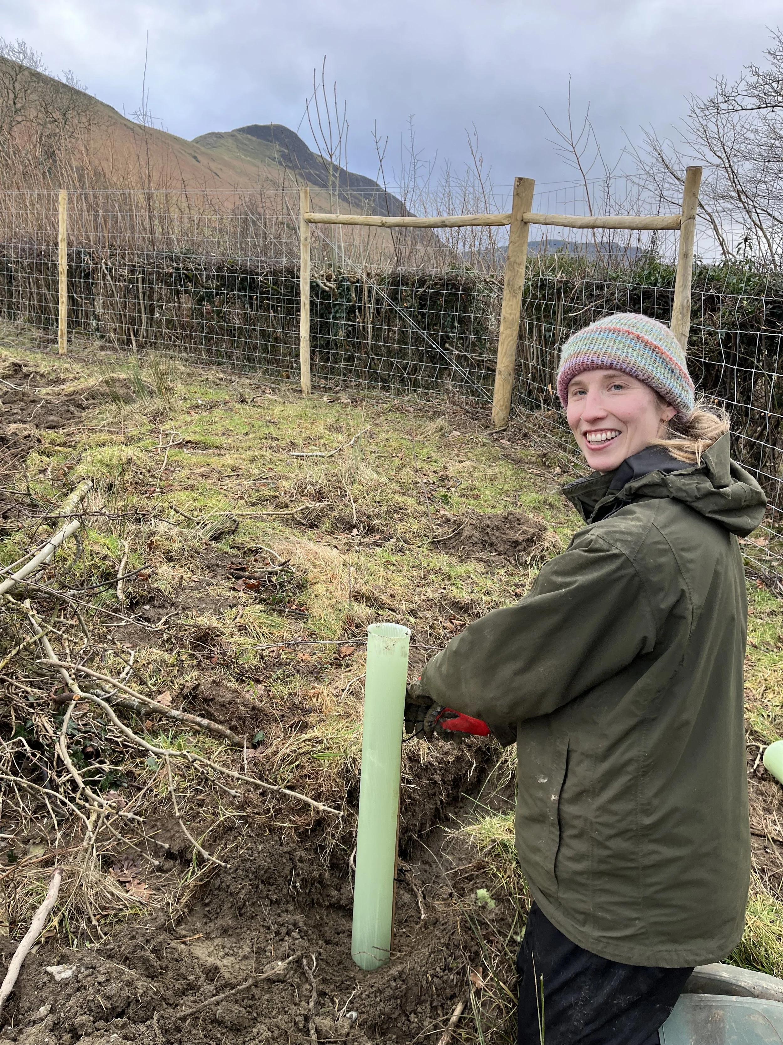 Volunteer Community Foresters: Tree Planting at Low Skelgill Farm