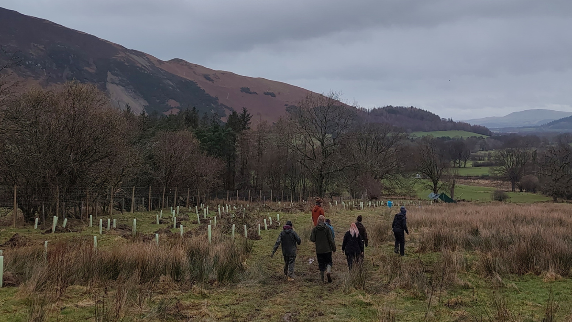 Volunteer Community Foresters: Biodiversity Monitoring at Low Skelgill Farm
