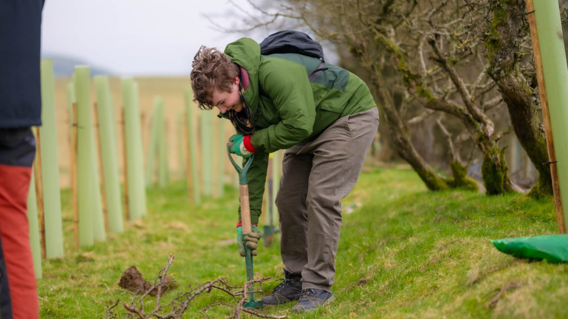 Volunteer Community Foresters: Maintenance Day at How Tun