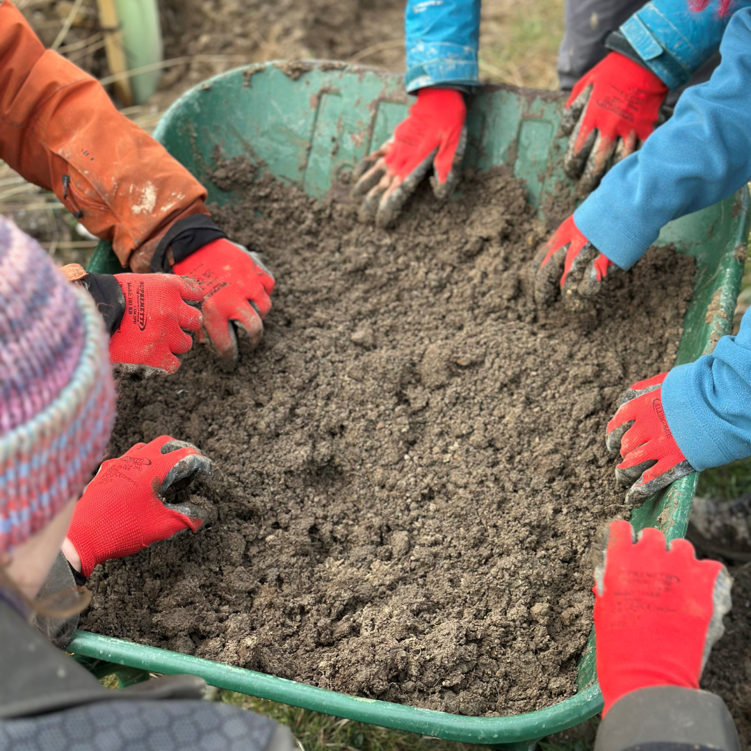 Volunteer Community Foresters: Tree Maintenance at How Tun