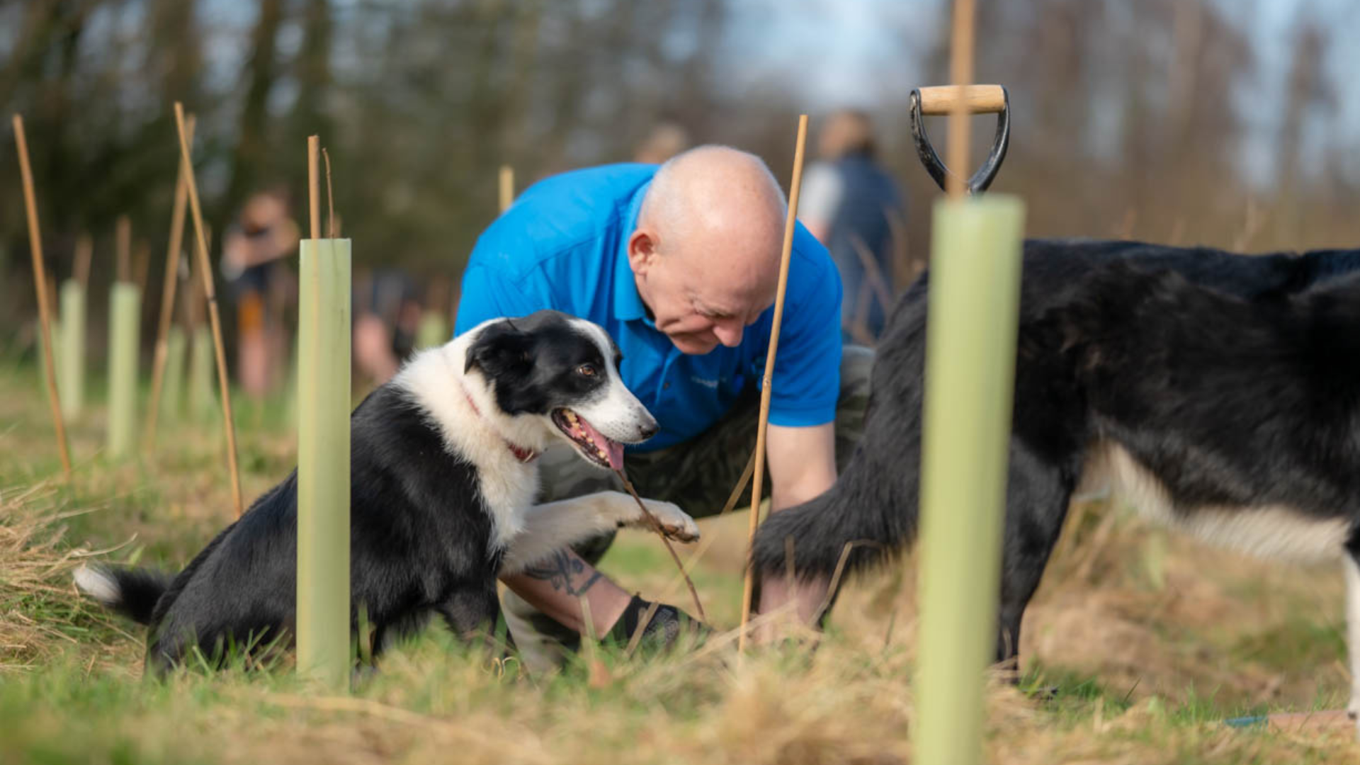 Volunteer Community Foresters: Tree Maintenance at Cummersdale