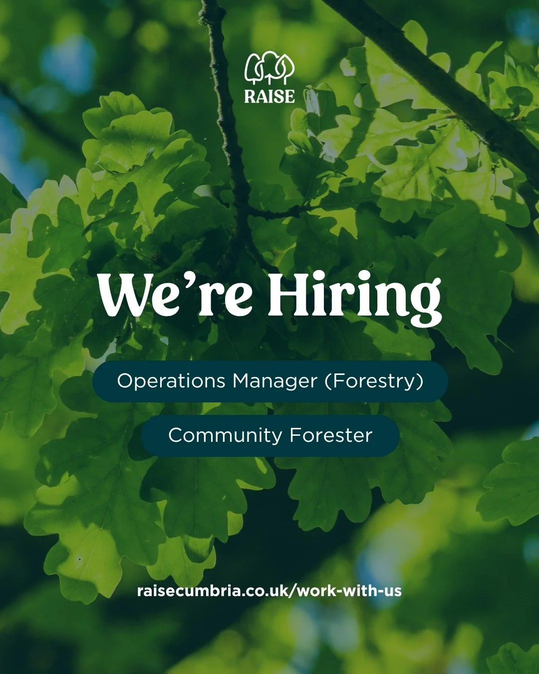 Are you interested in practical woodland and nature work in Cumbria?

We&rsquo;re currently hiring for two roles:
🌳Operations Manager (Forestry)
🌳Community Forester (Woodland Creation/Management)

We work with communities, landowners and partners a