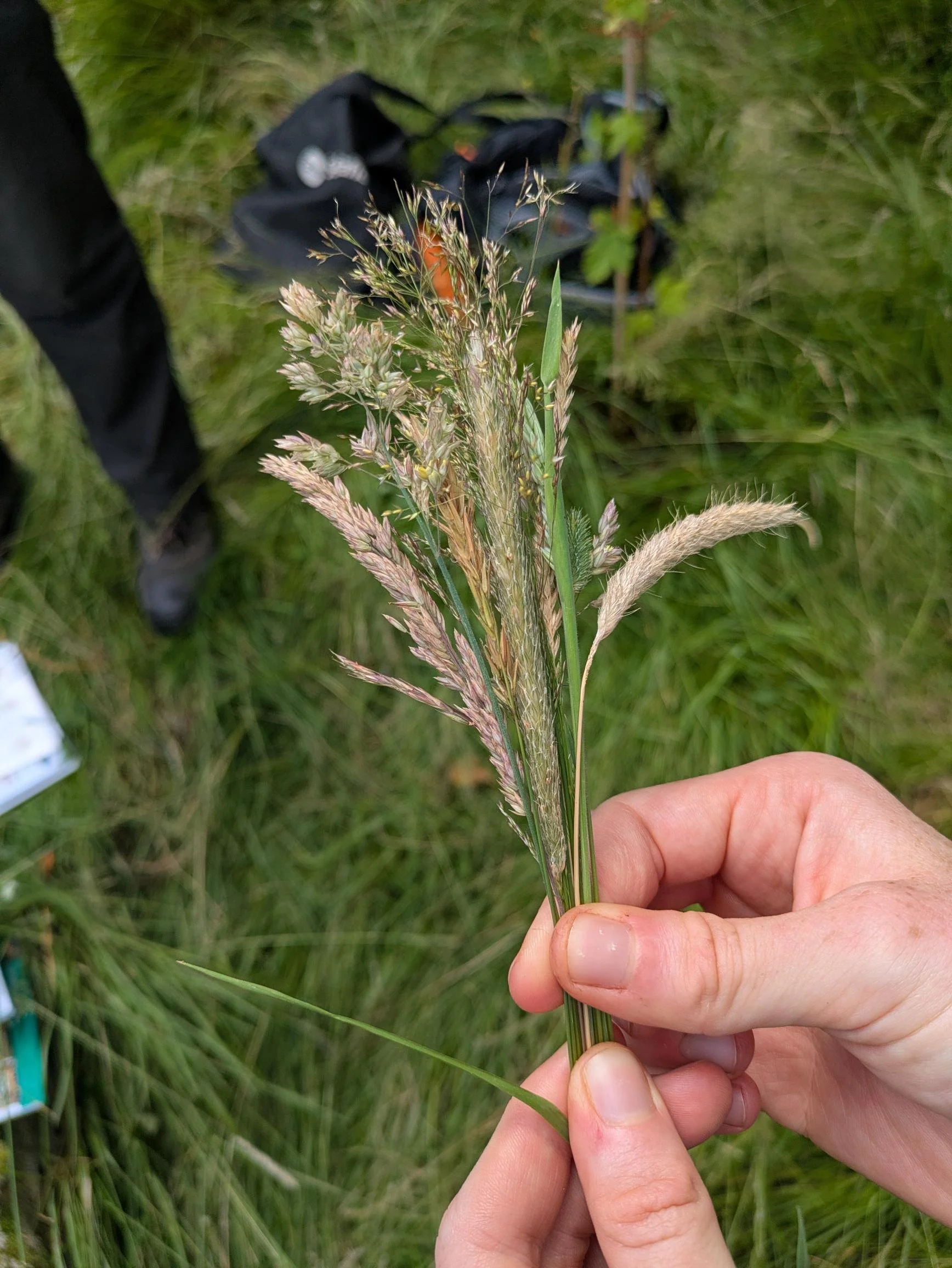 26.06.27 CBDC biodiversity observation 2.jpg
