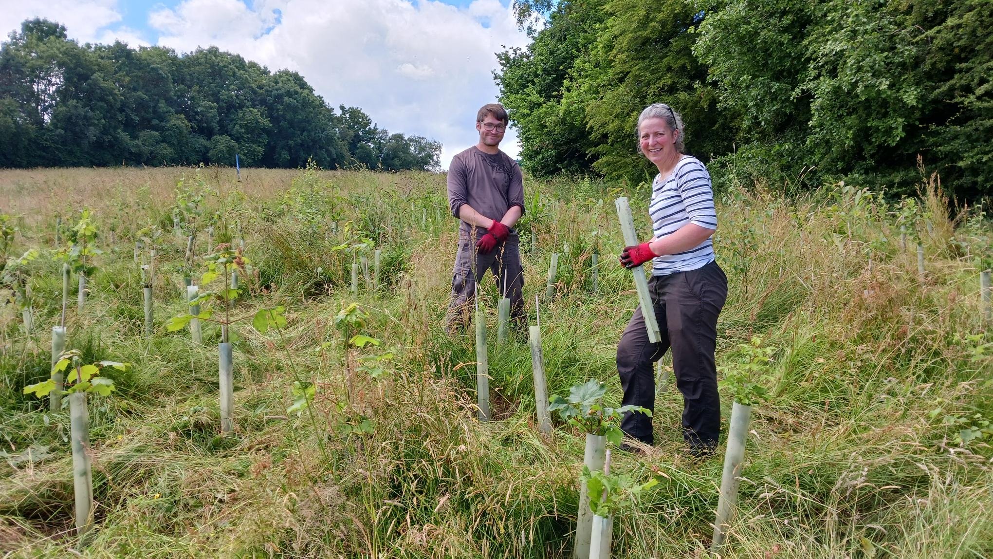 26.06.27 vols veg mgmt 1.jpg