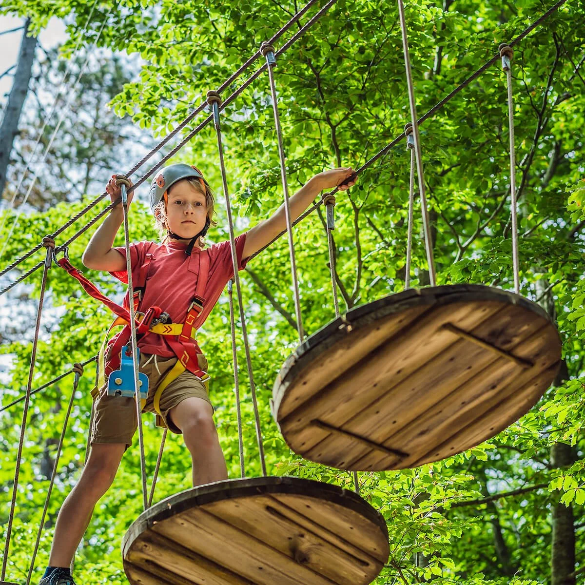 Why Trees? | Raise: Cumbria Community Forest