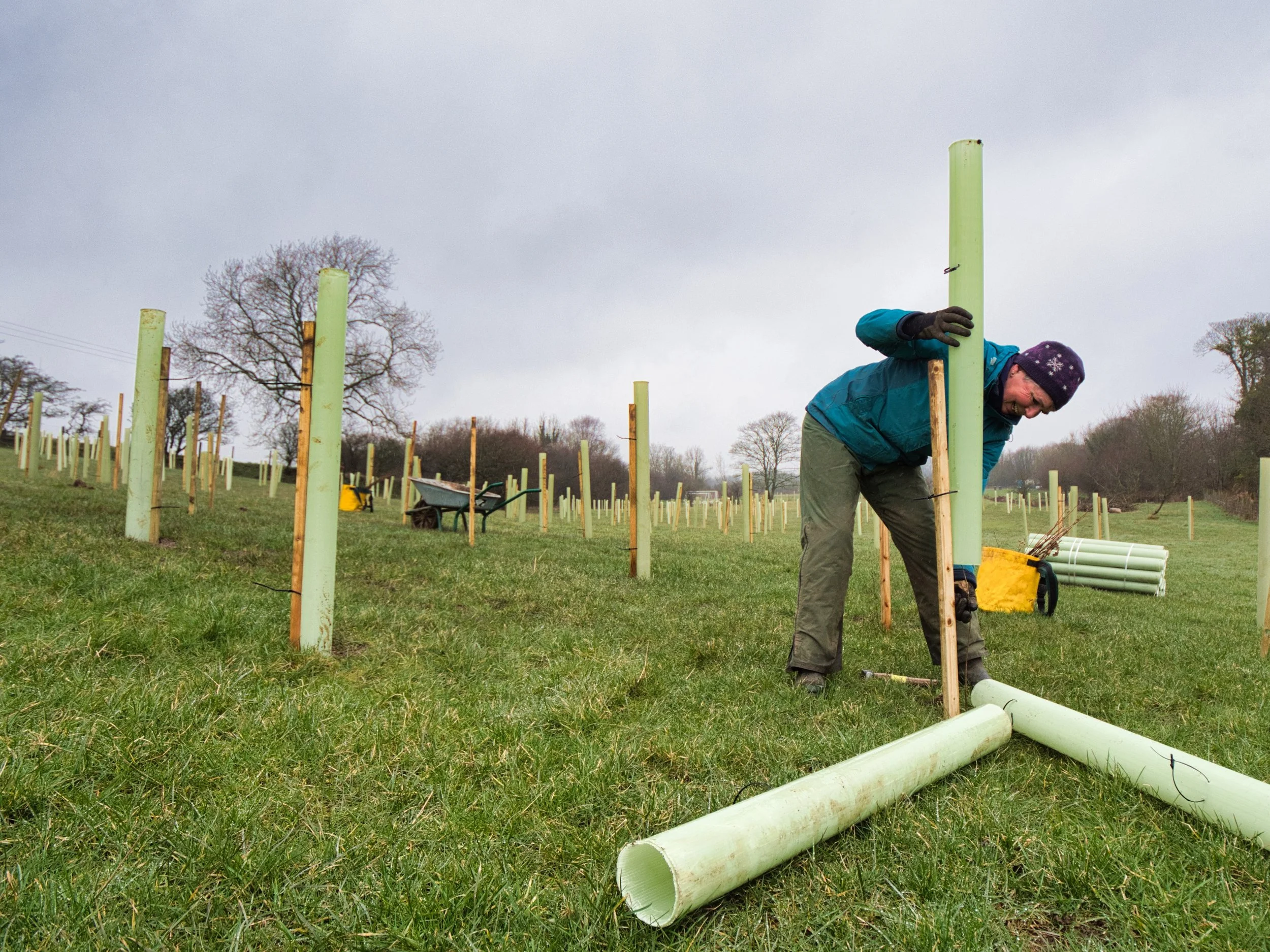 Keekle | Raise: Cumbria Community Forest