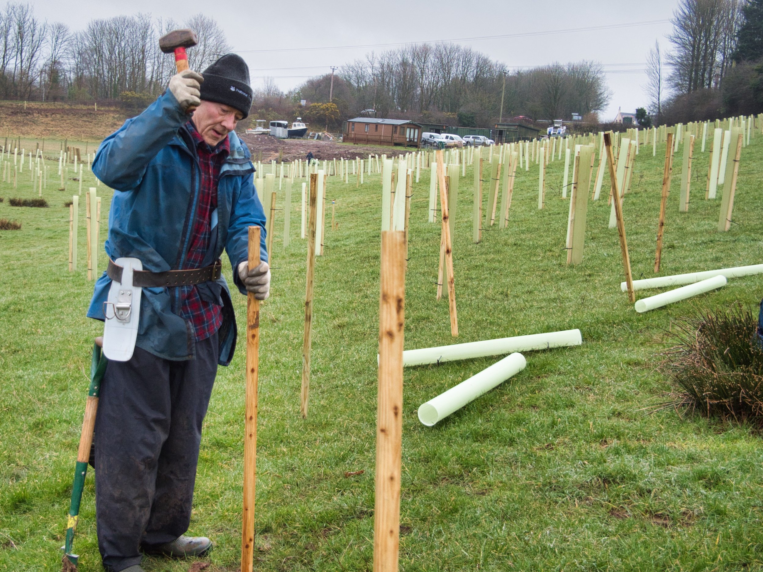 Keekle | Raise: Cumbria Community Forest