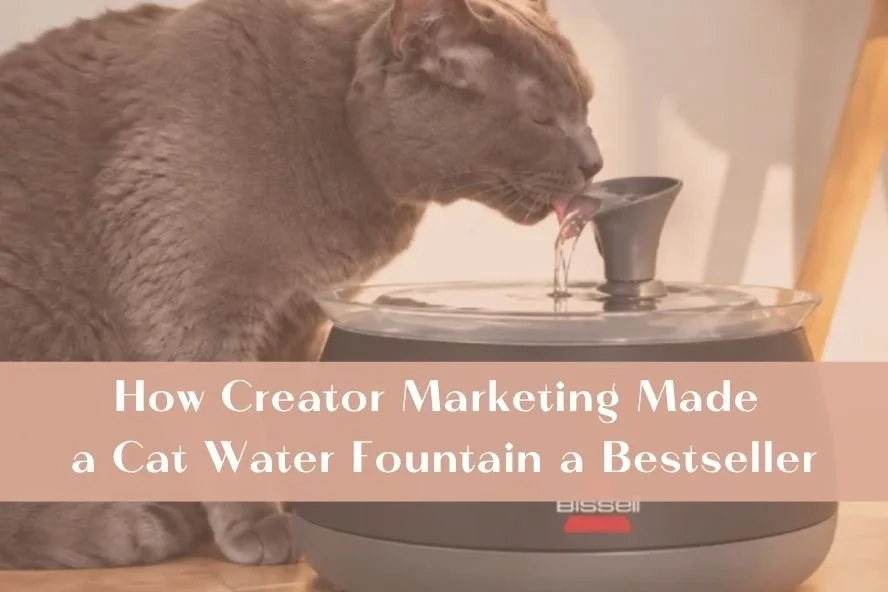 How Creator Marketing Made a Cat Water Fountain a Bestseller